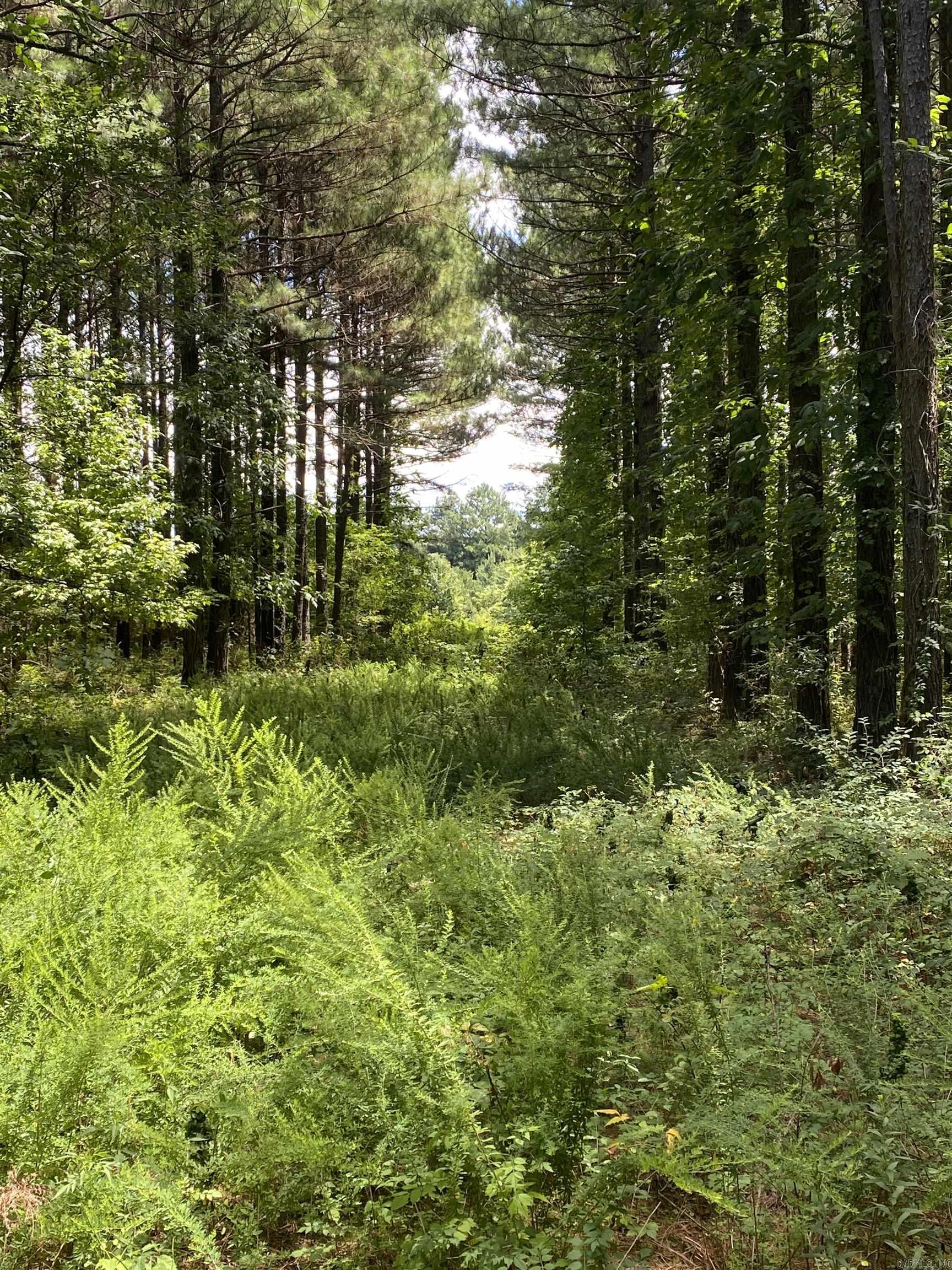 Metes & Bounds - Farm