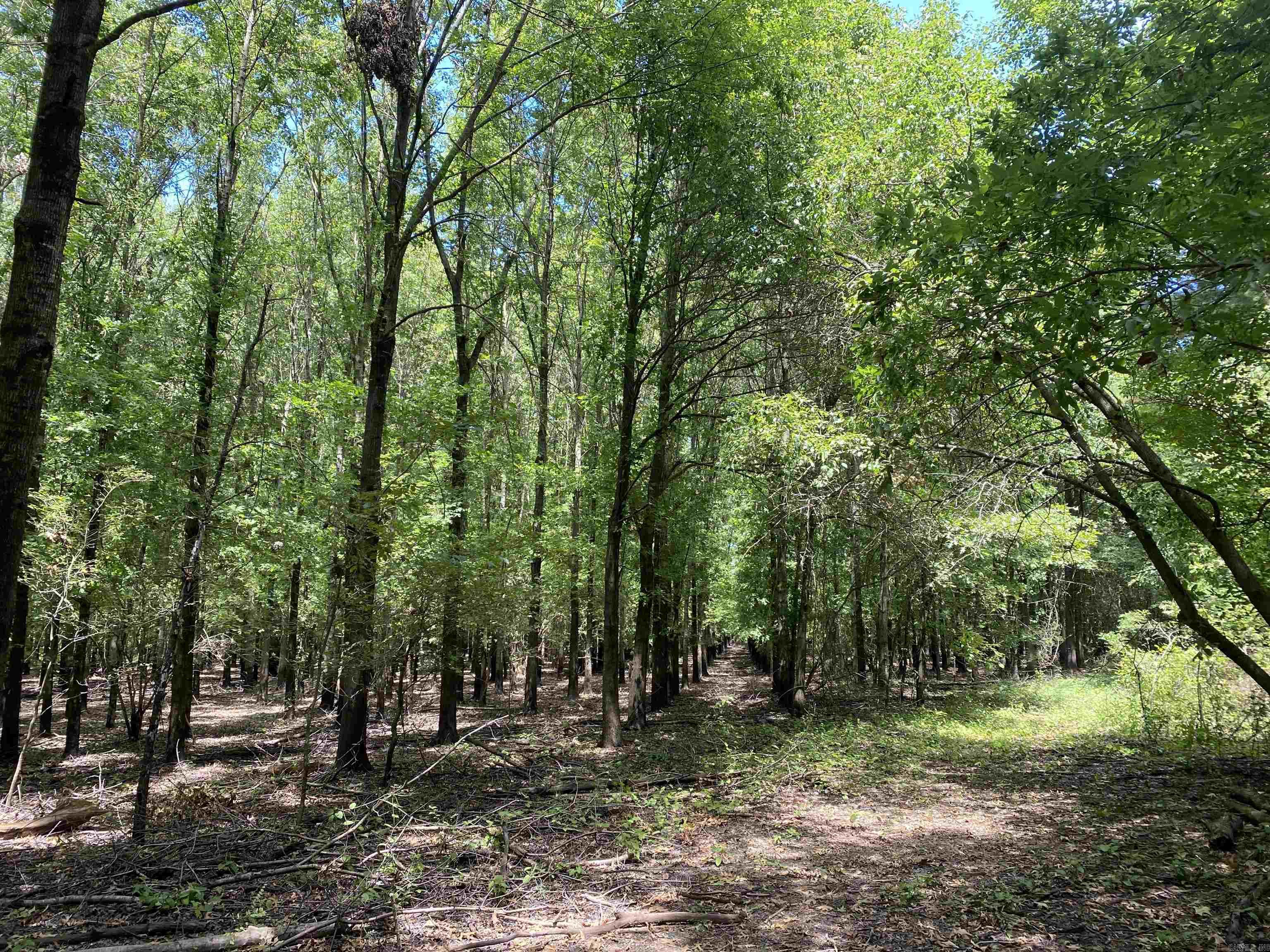 Metes & Bounds - Farm