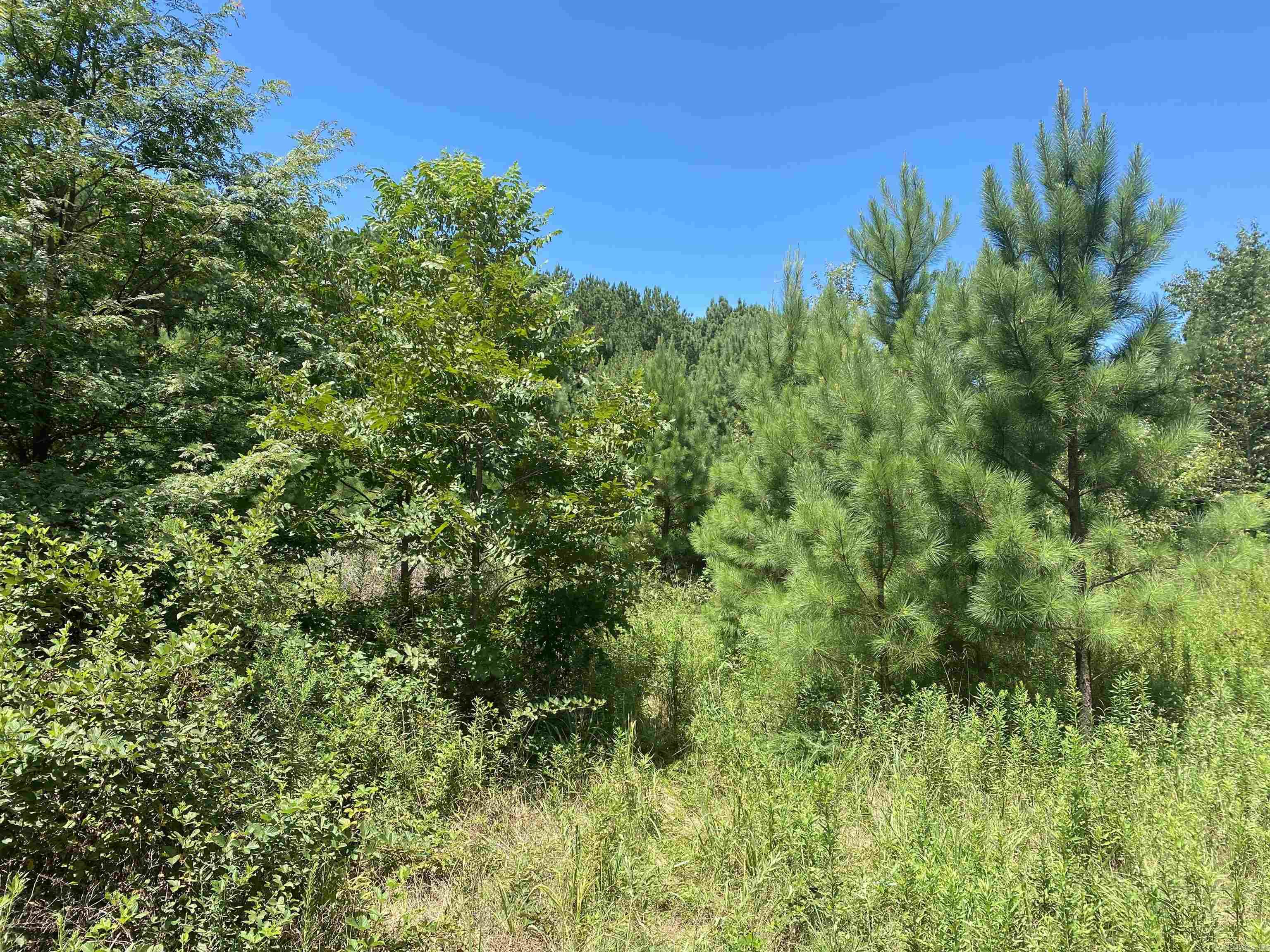 Metes & Bounds - Farm