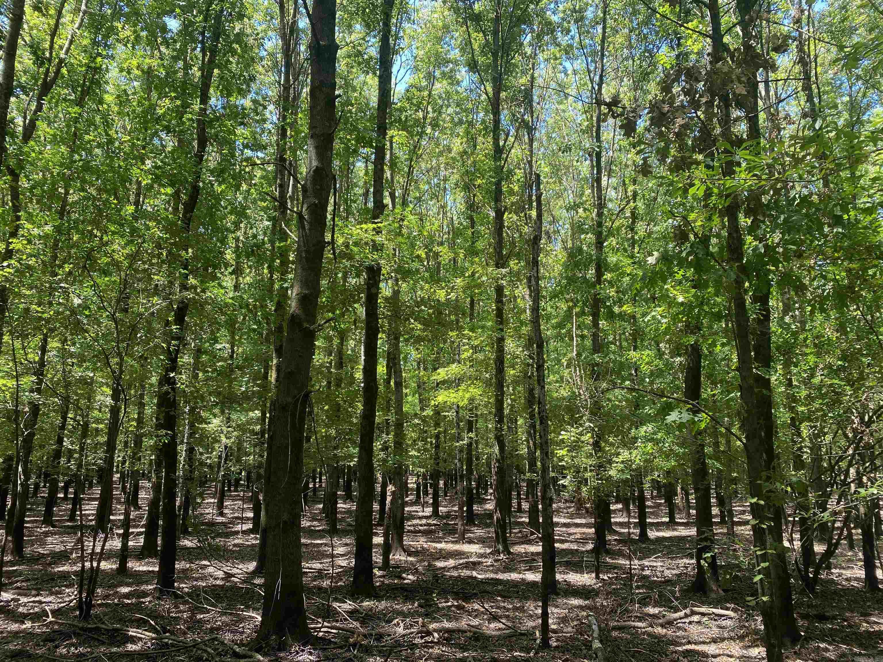 Metes & Bounds - Farm