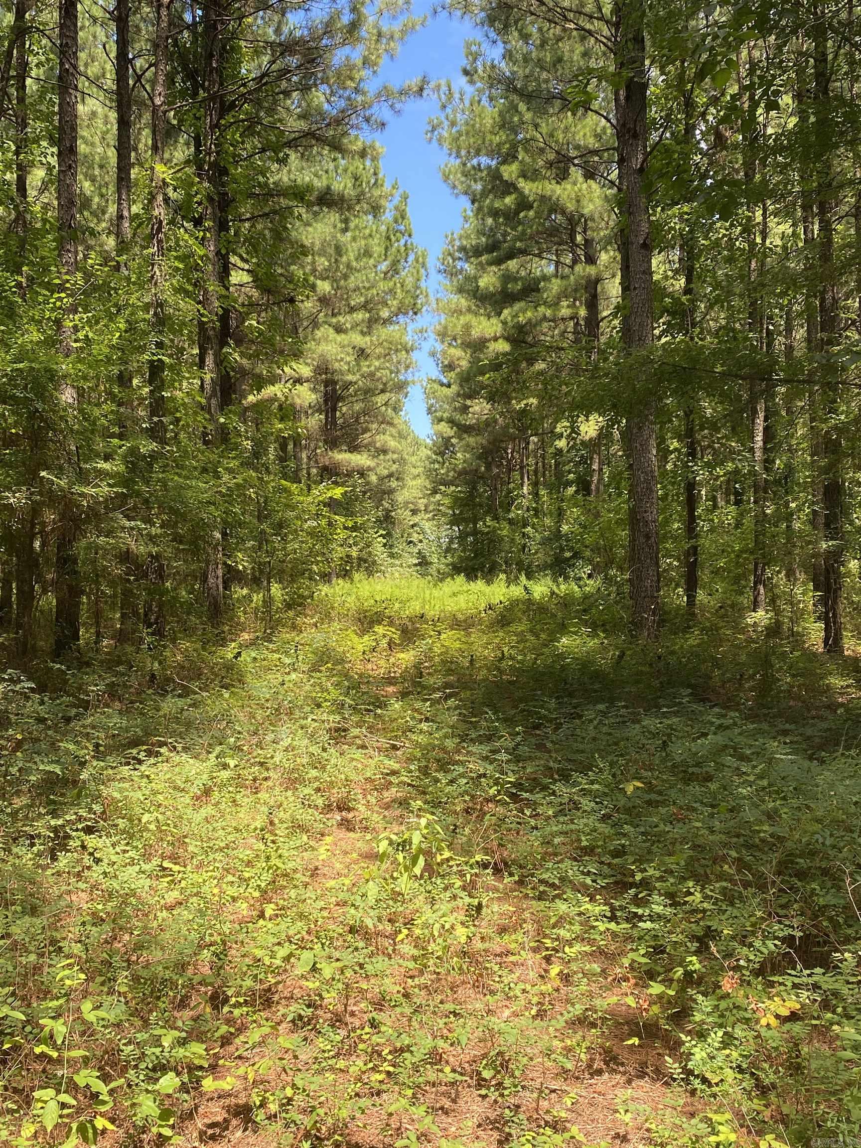 Metes & Bounds - Farm