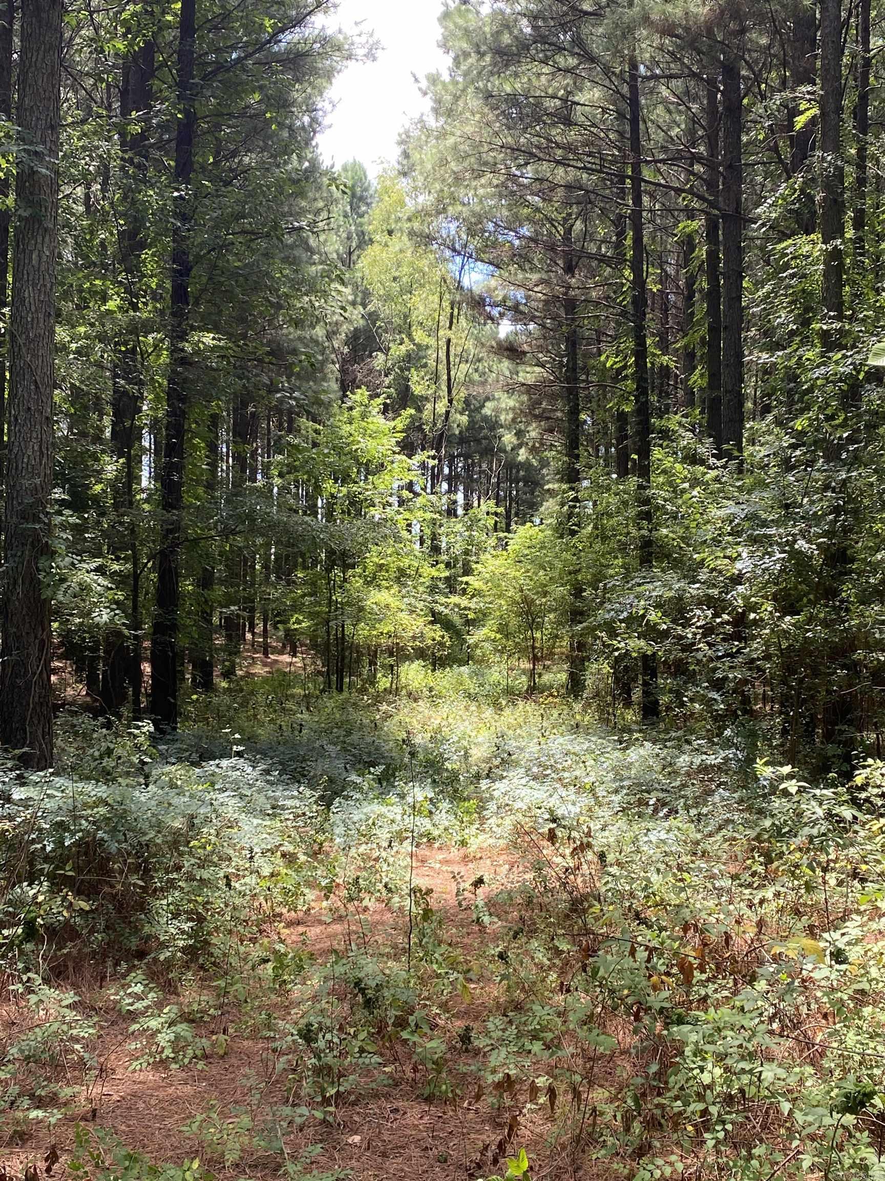 Metes & Bounds - Farm