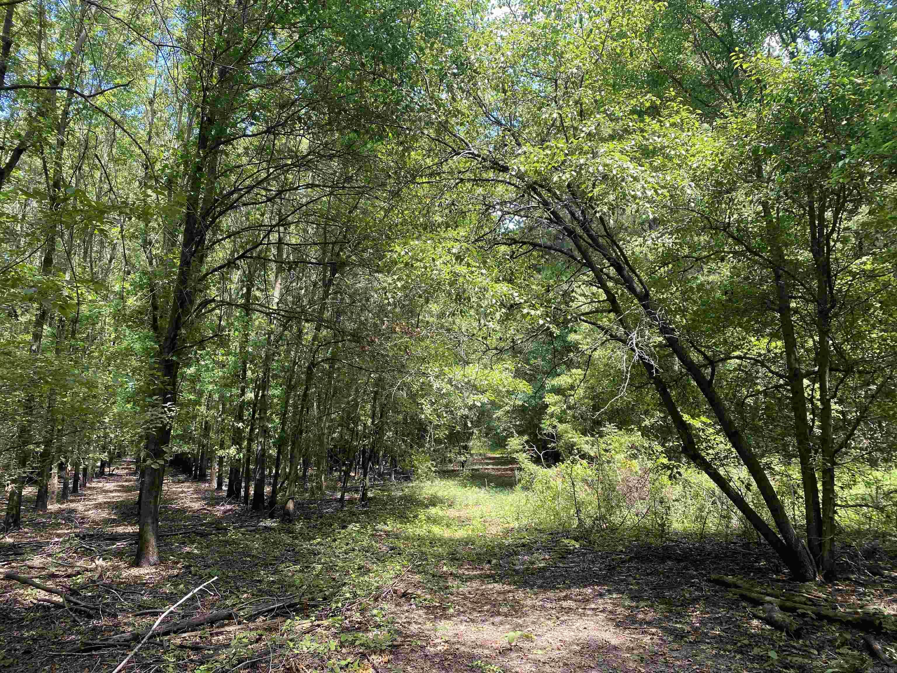 Metes & Bounds - Farm