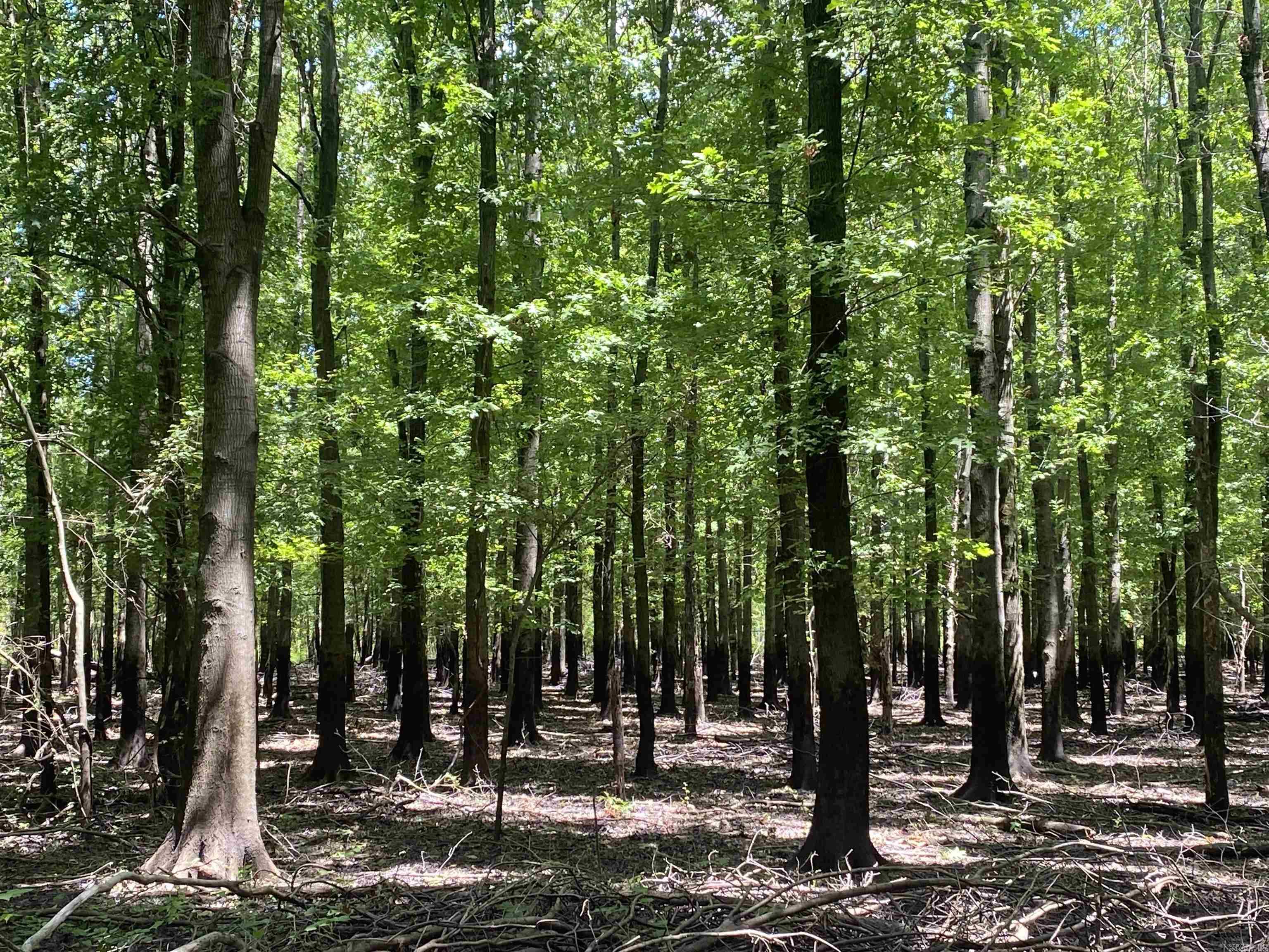 Metes & Bounds - Farm