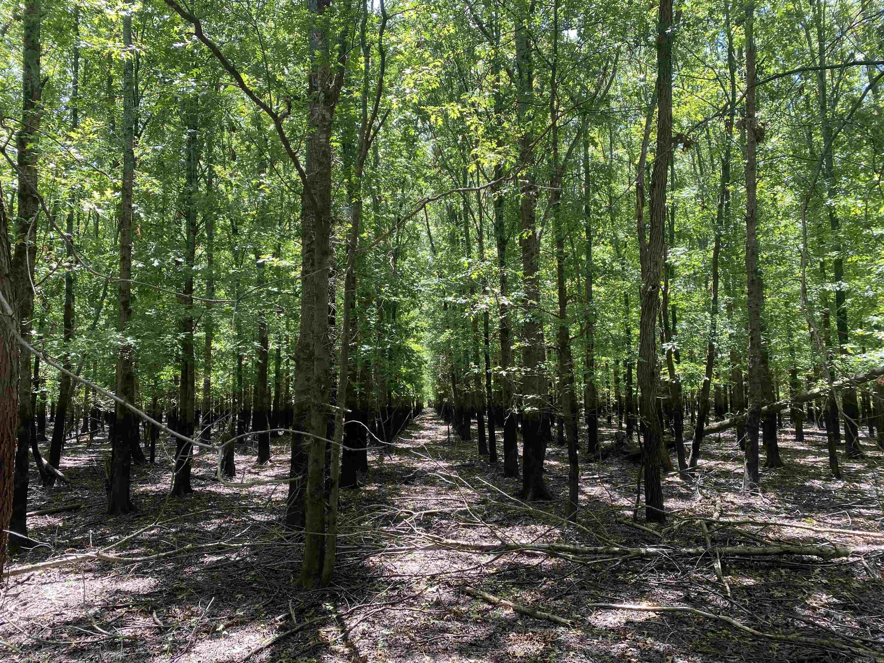 Metes & Bounds - Farm