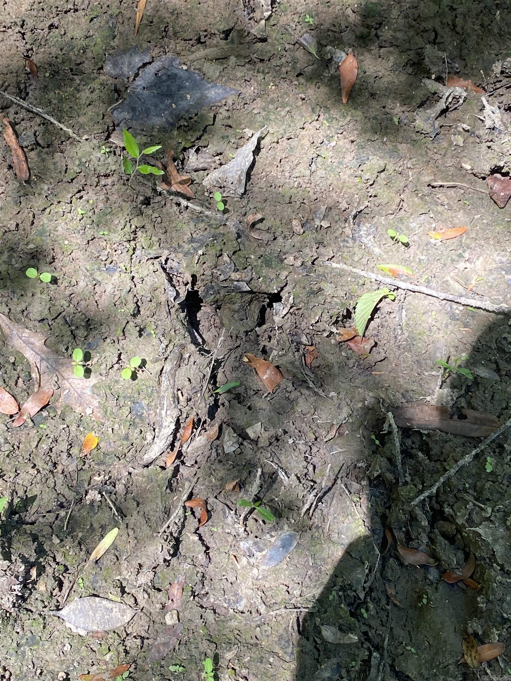 Metes & Bounds - Farm