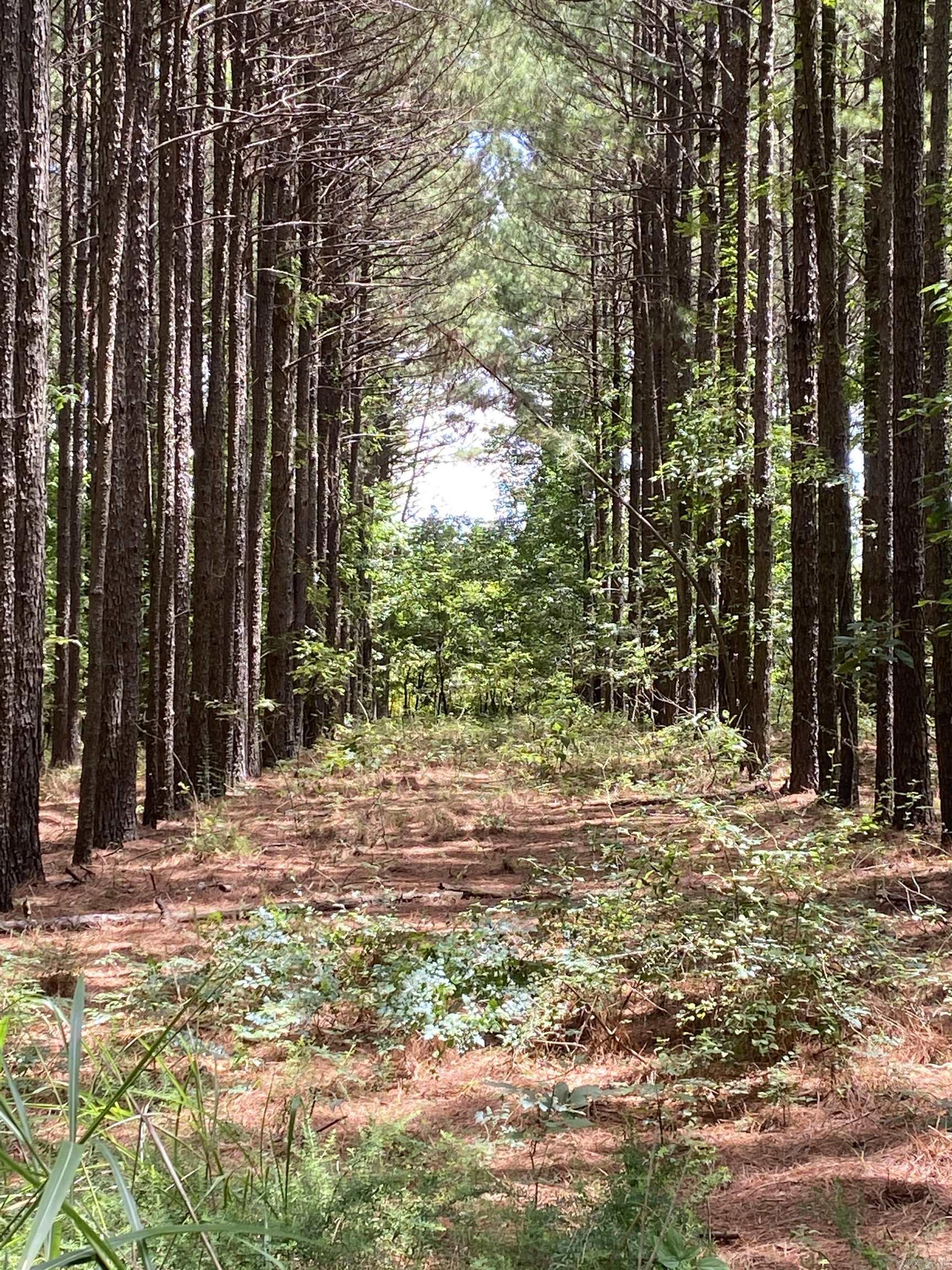 Metes & Bounds - Farm