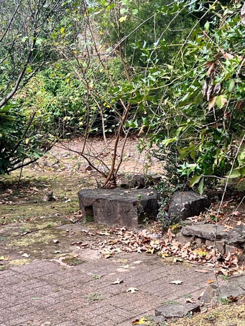 PARK HILL - Residential