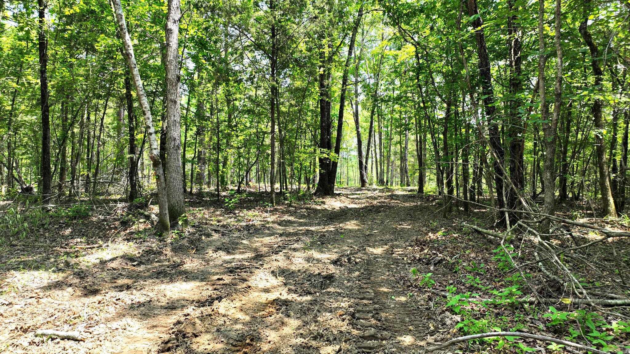 Alder Springs-Rocky - Land