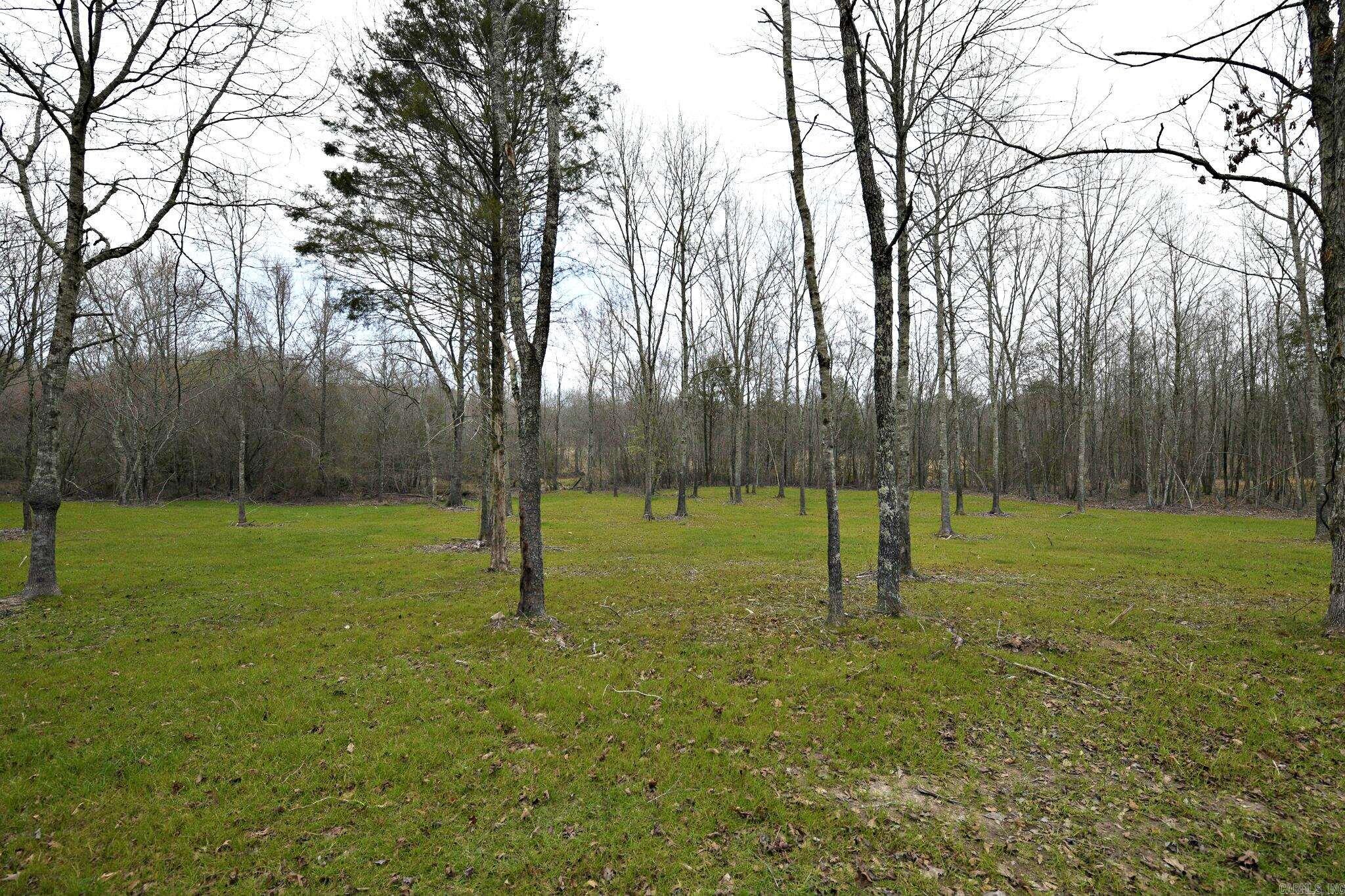 Alder Springs-Rocky - Land