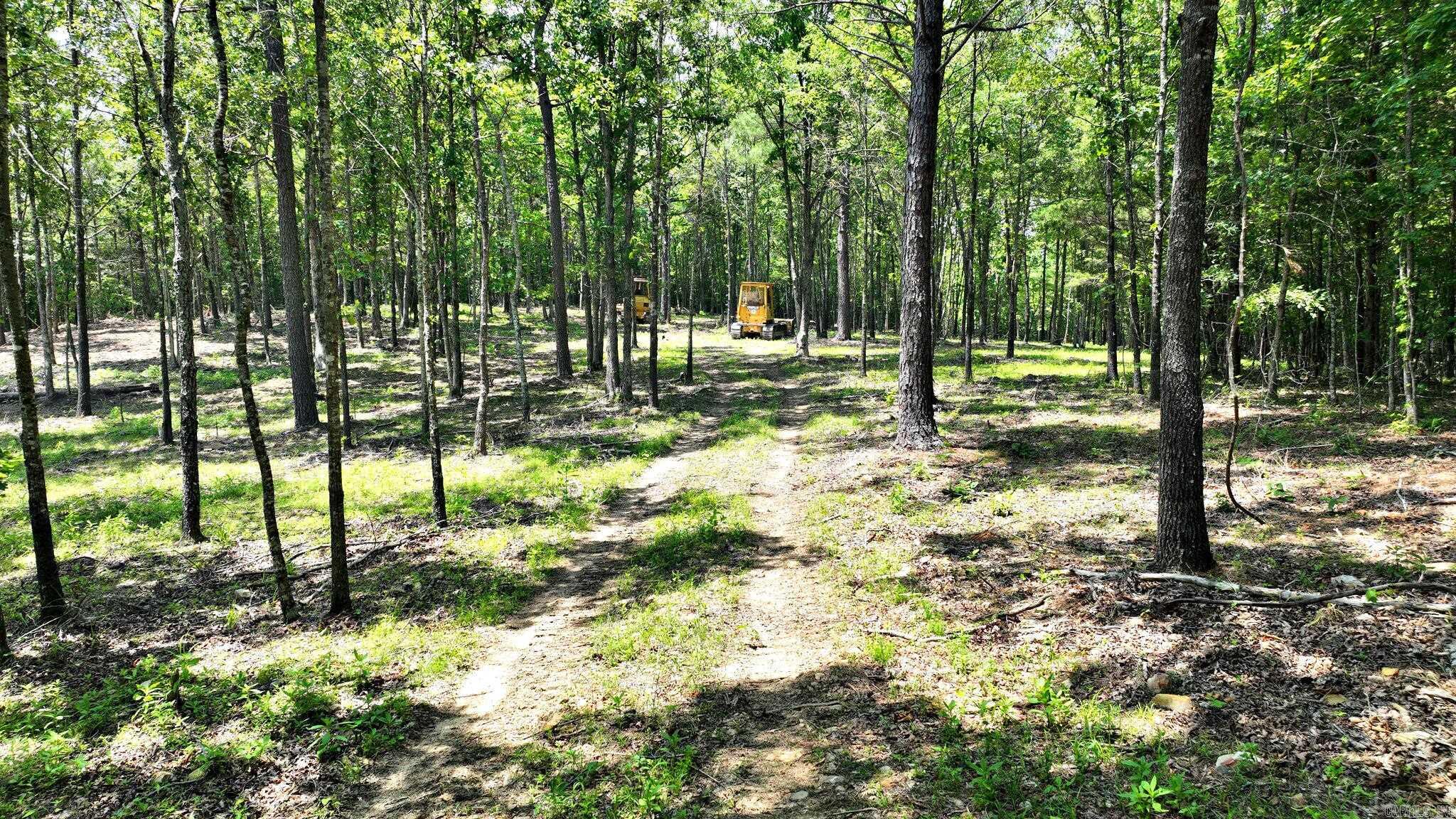 Alder Springs-Rocky - Land