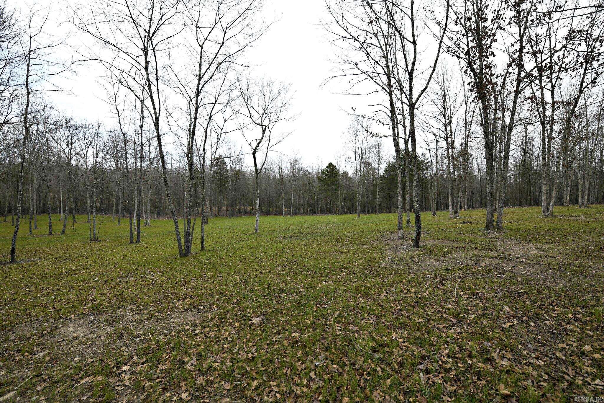 Alder Springs-Rocky - Land