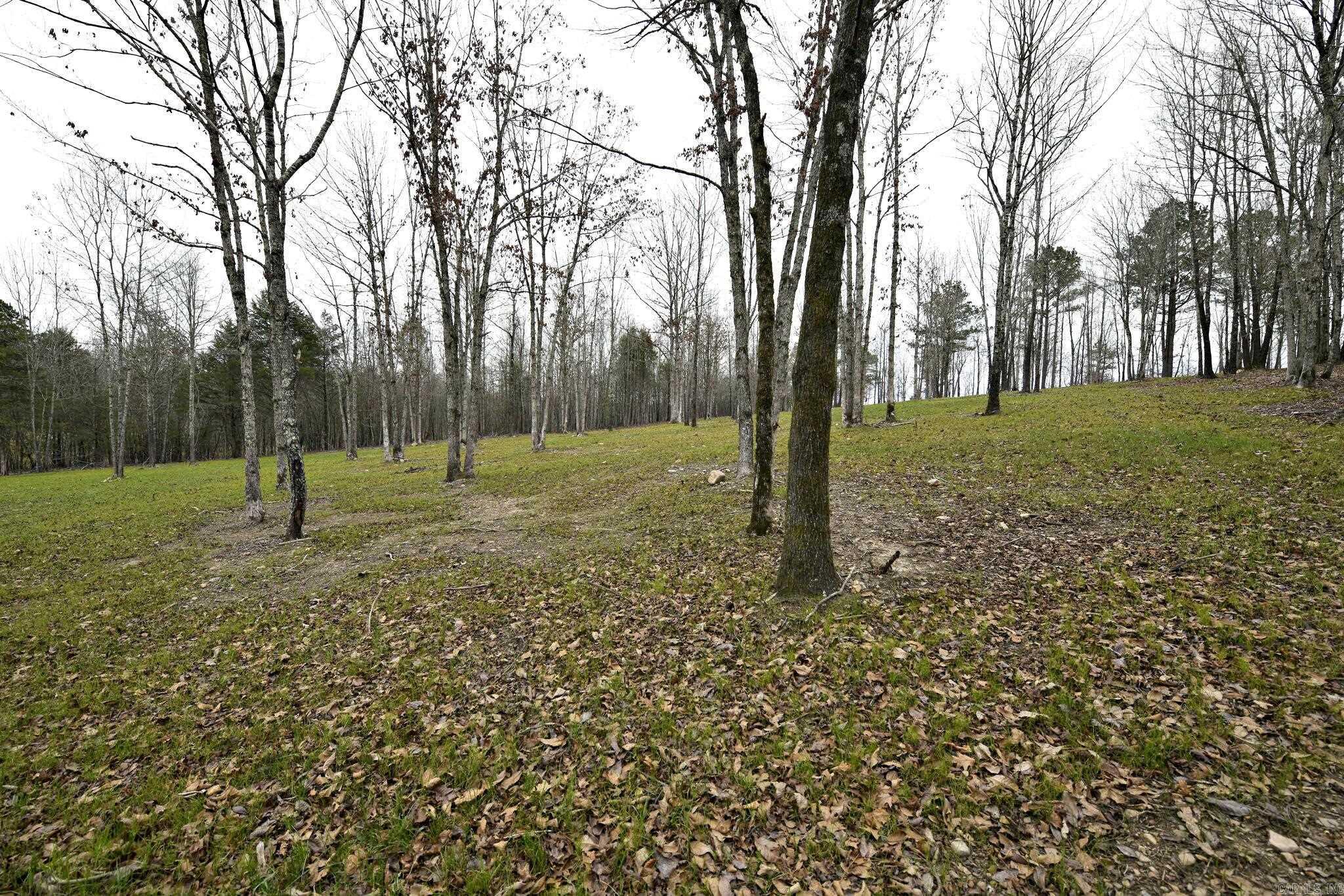 Alder Springs-Rocky - Land