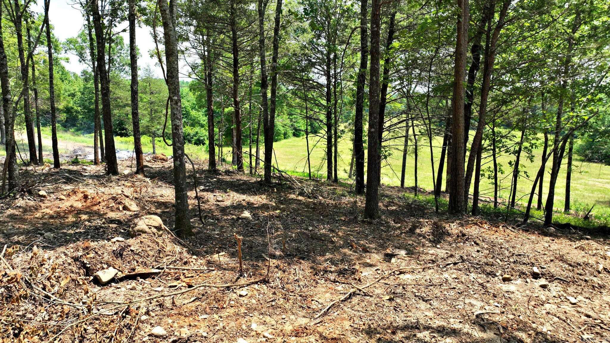 Alder Springs-Rocky - Land