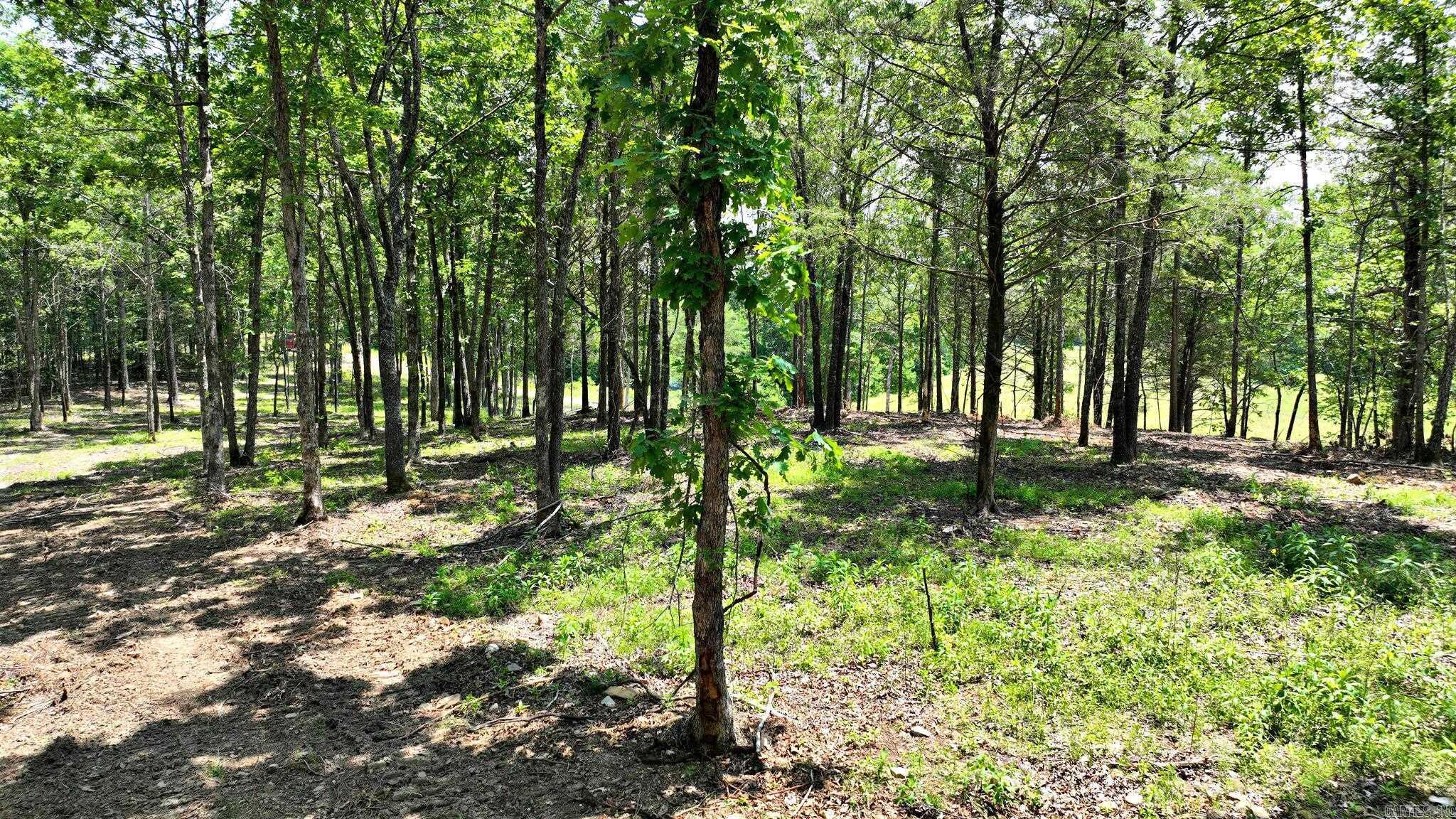 Alder Springs-Rocky - Land