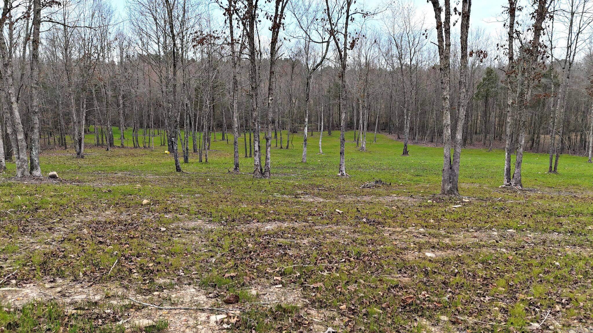 Alder Springs-Rocky - Land