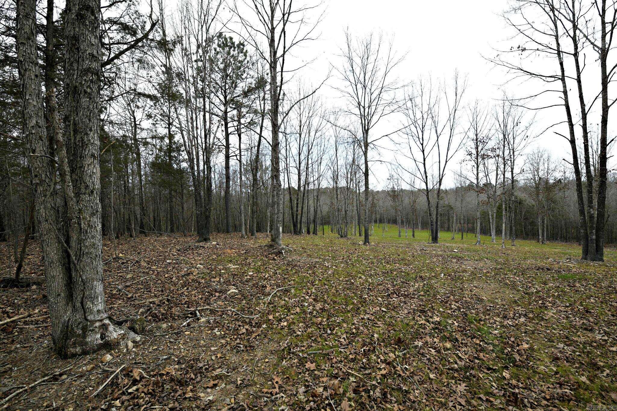 Alder Springs-Rocky - Land