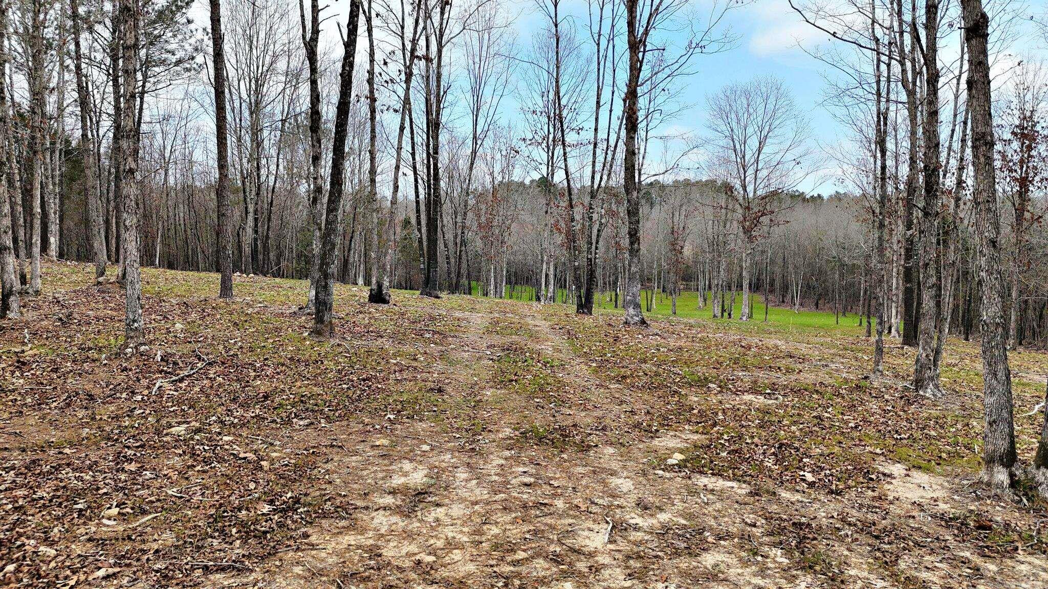 Alder Springs-Rocky - Land