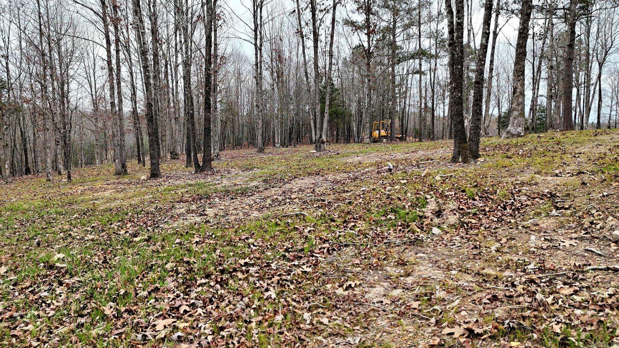 Alder Springs-Rocky - Land