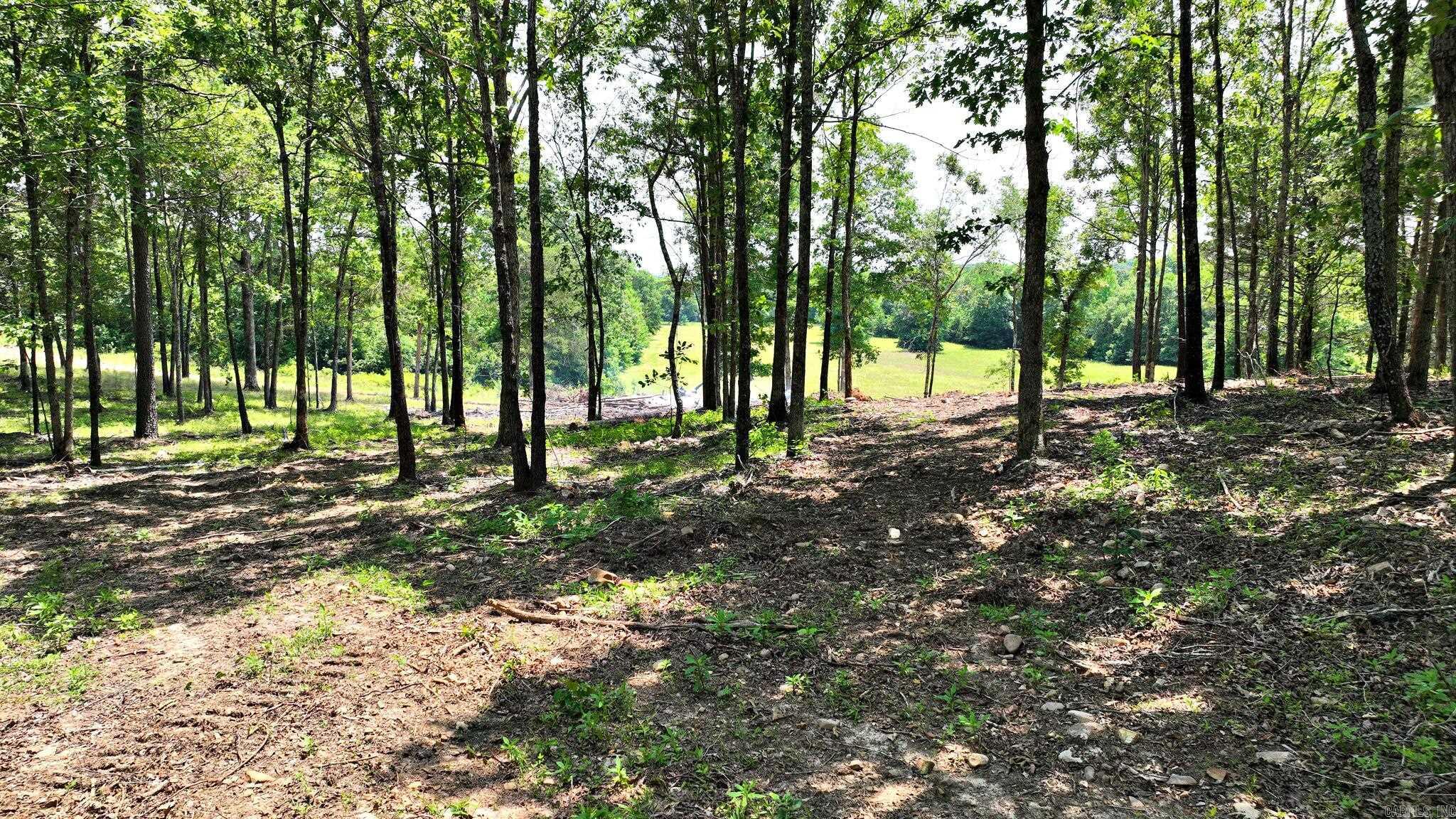 Alder Springs-Rocky - Land