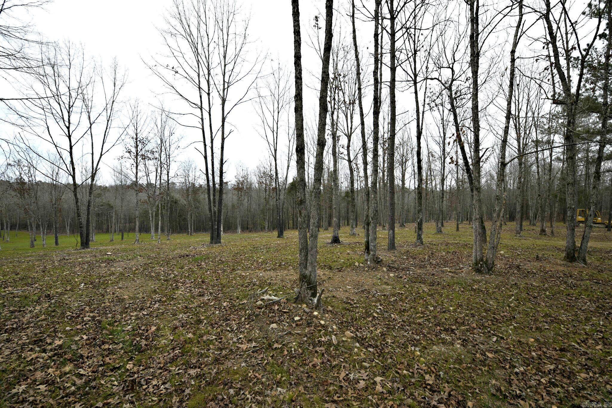 Alder Springs-Rocky - Land