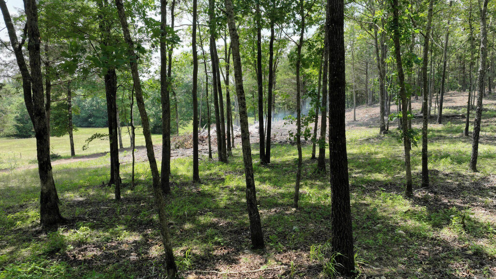 Alder Springs-Rocky - Land