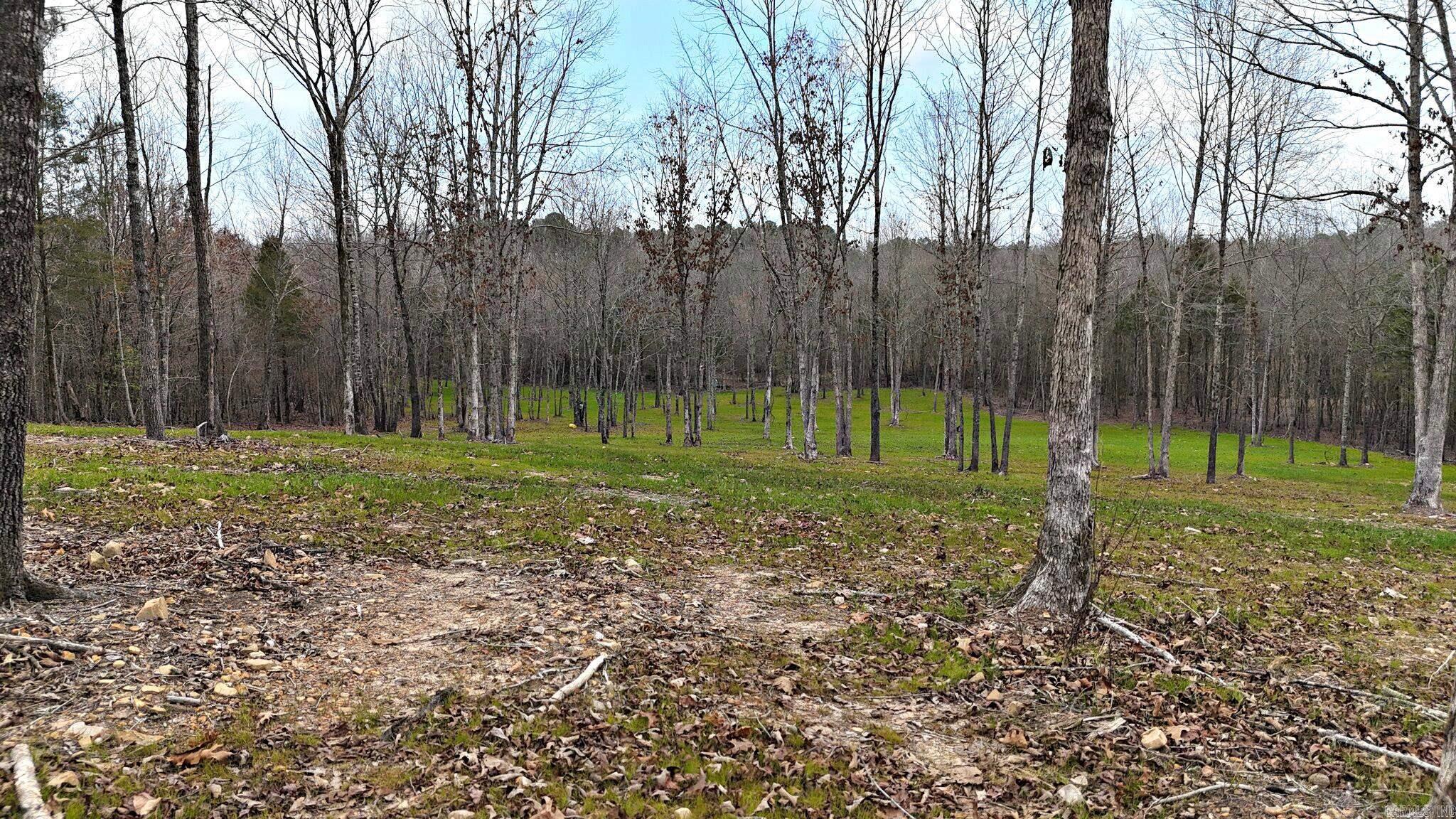 Alder Springs-Rocky - Land