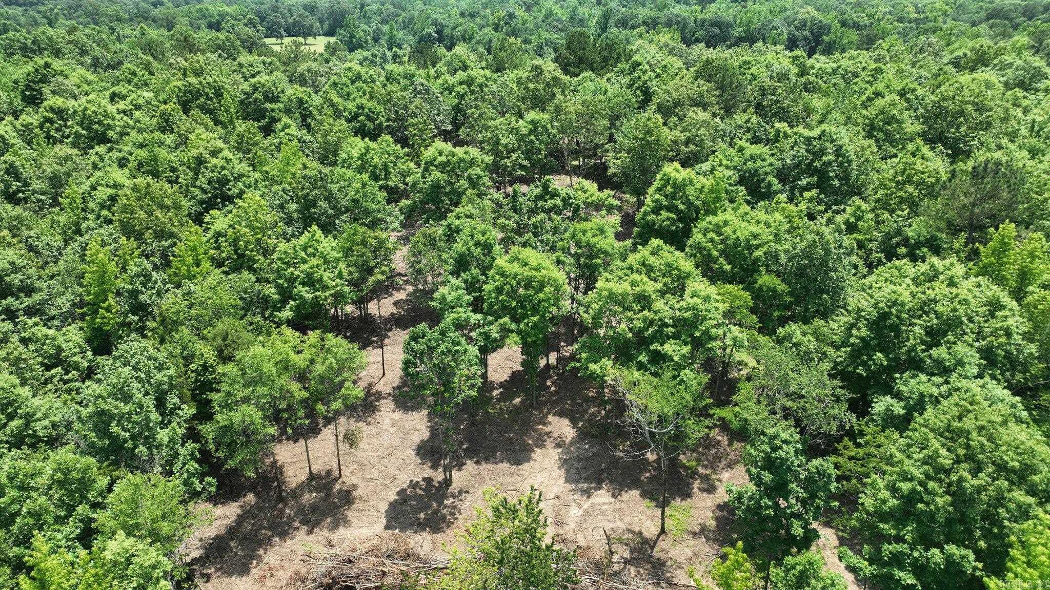 Alder Springs-Rocky - Land