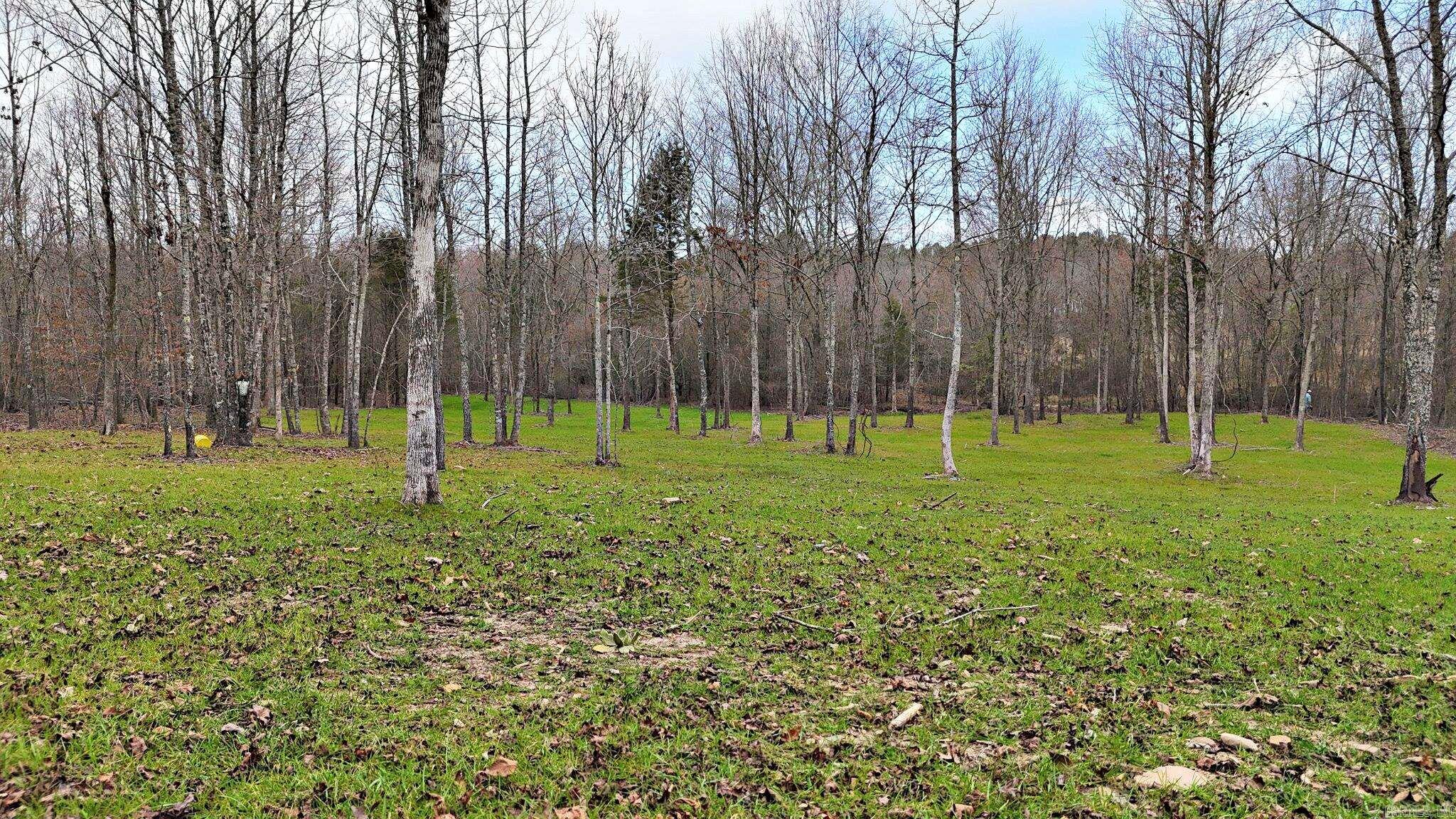 Alder Springs-Rocky - Land