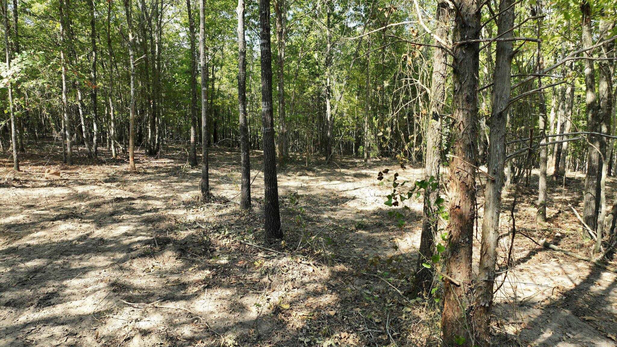 Alder Springs-Rocky - Land