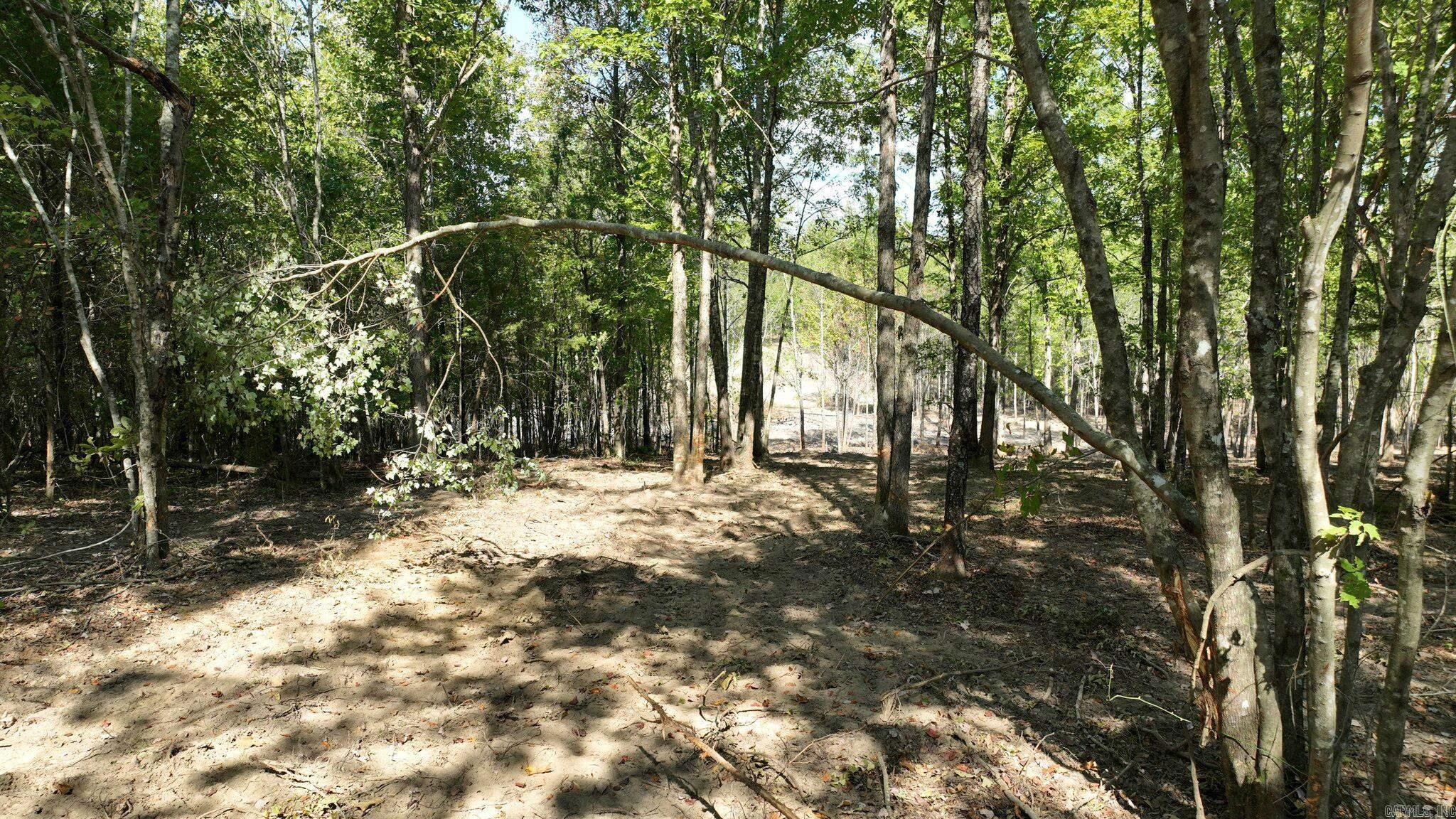 Alder Springs-Rocky - Land