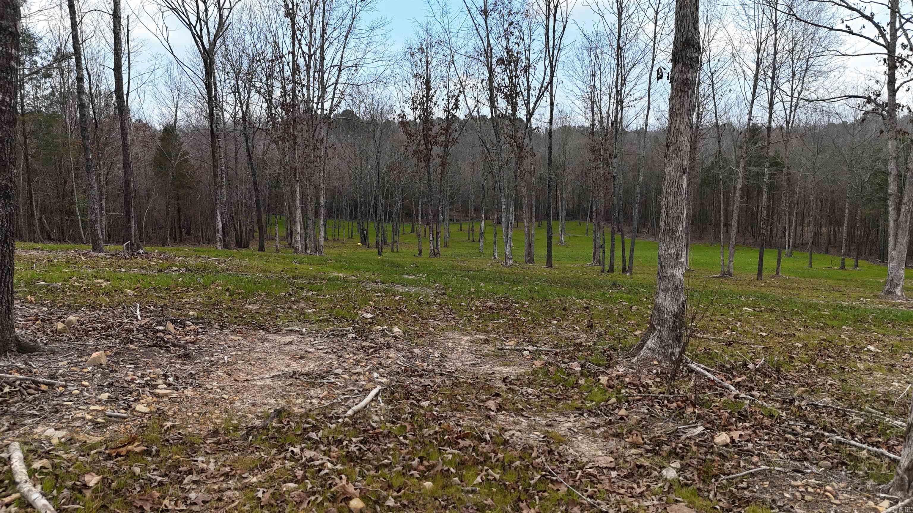 Alder Springs-Rocky - Land