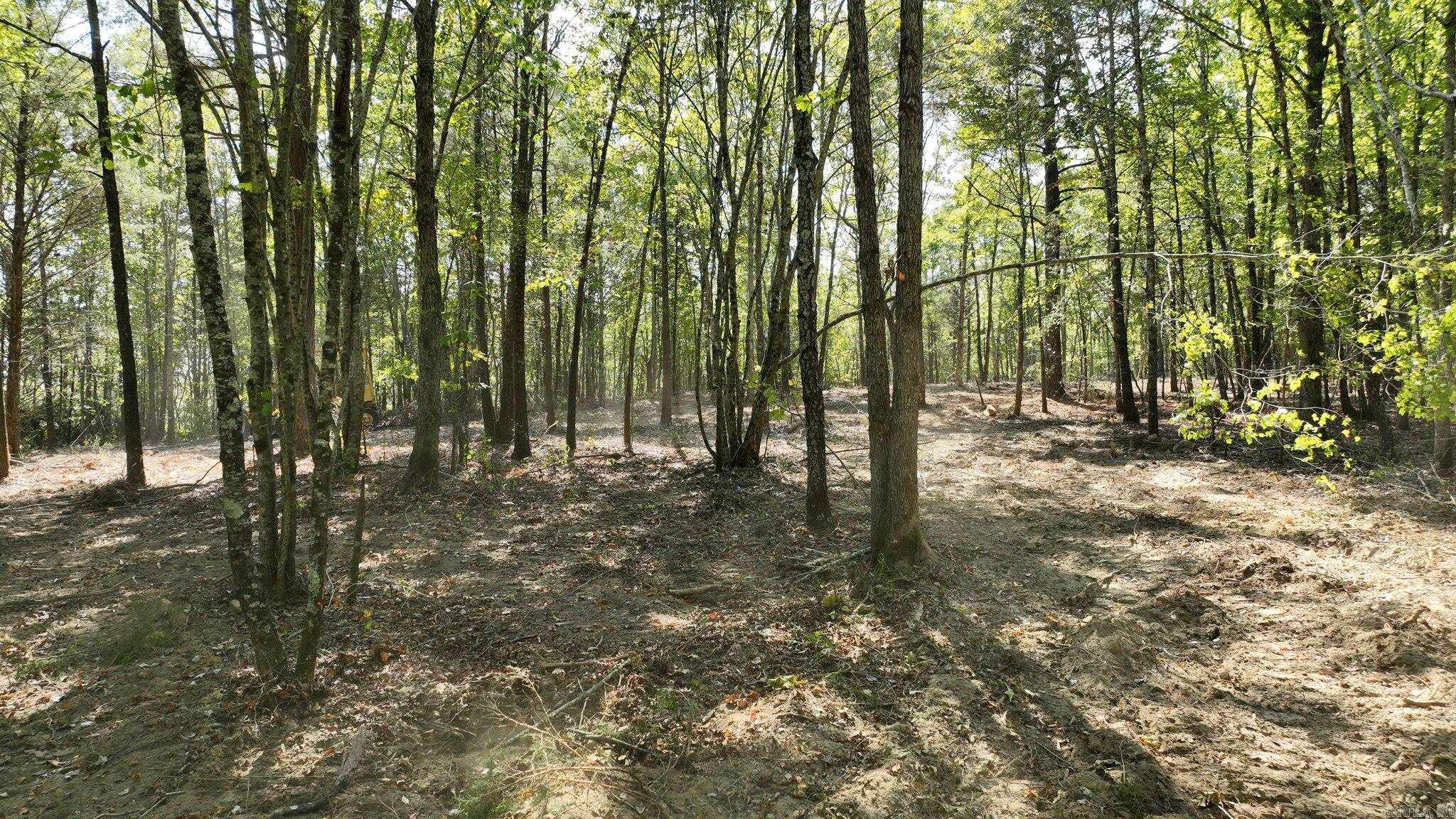 Alder Springs-Rocky - Land