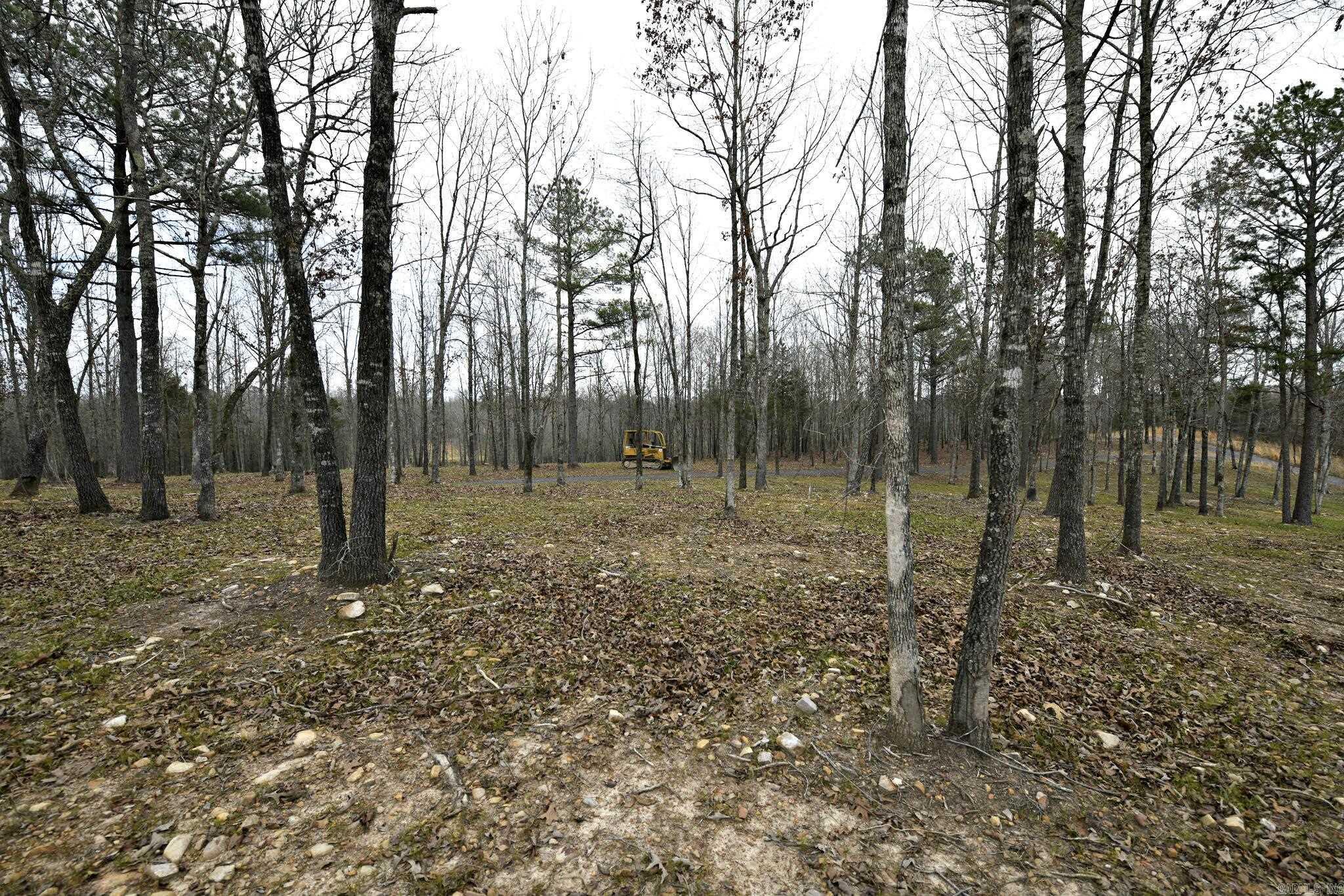 Alder Springs-Rocky - Land