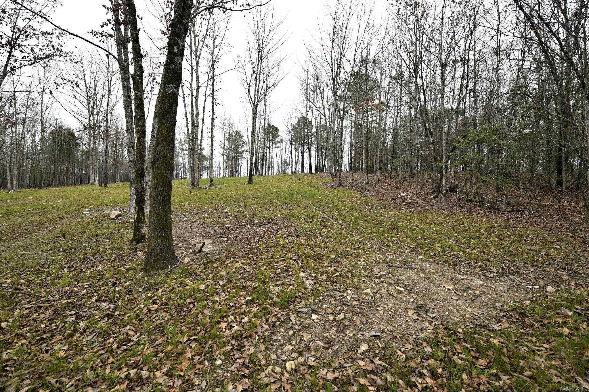 Alder Springs-Rocky - Land