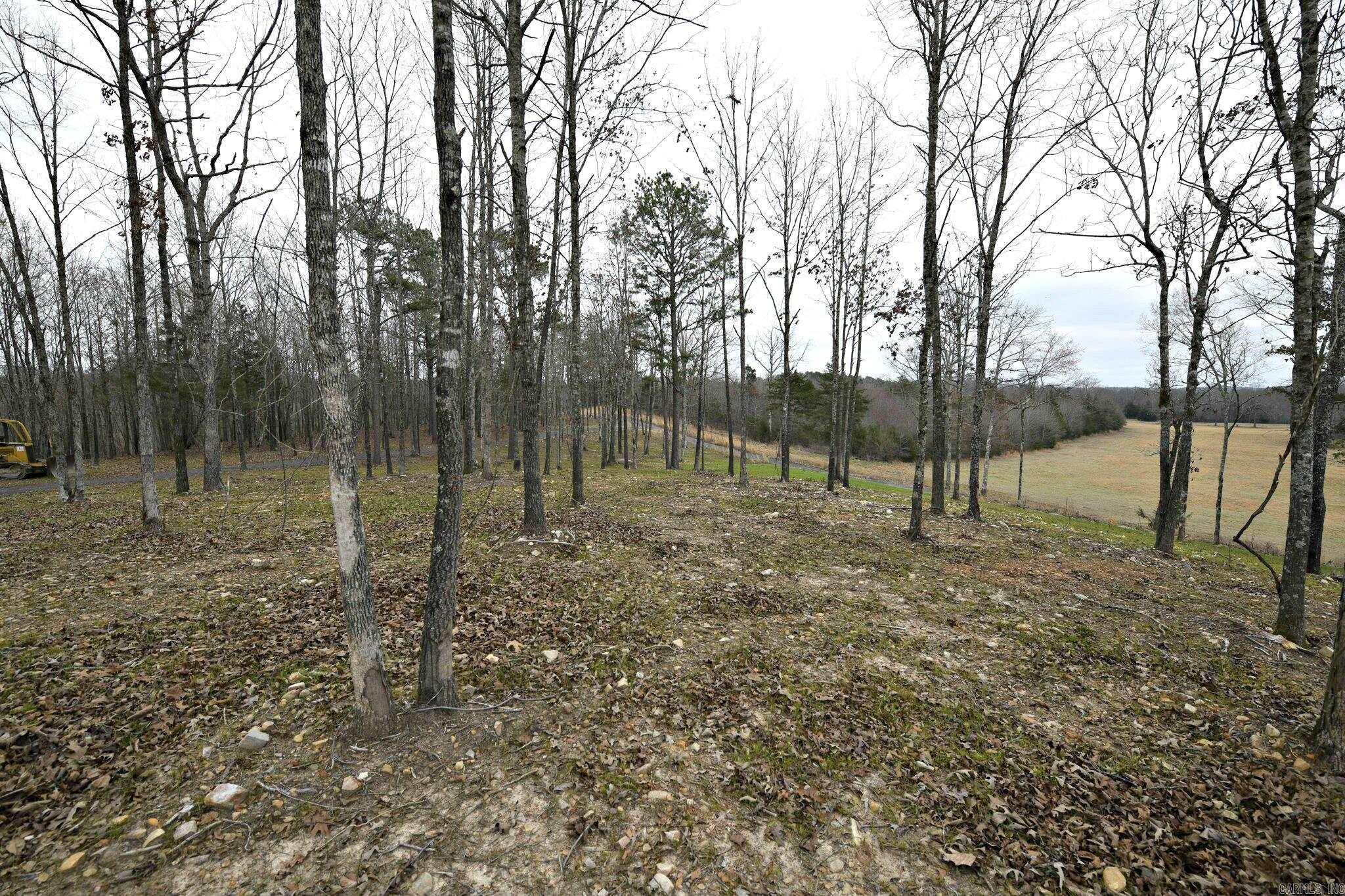 Alder Springs-Rocky - Land