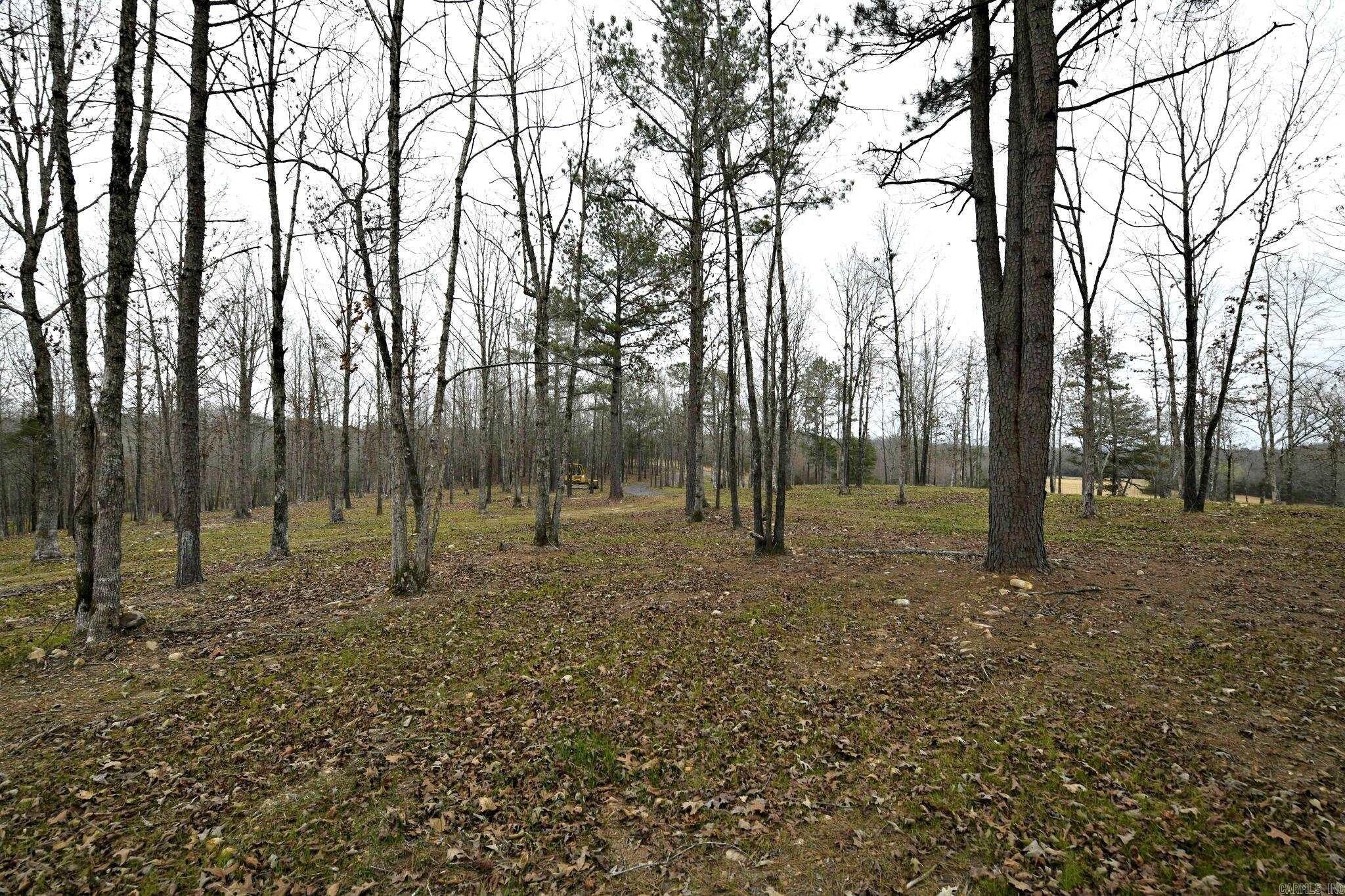 Alder Springs-Rocky - Land