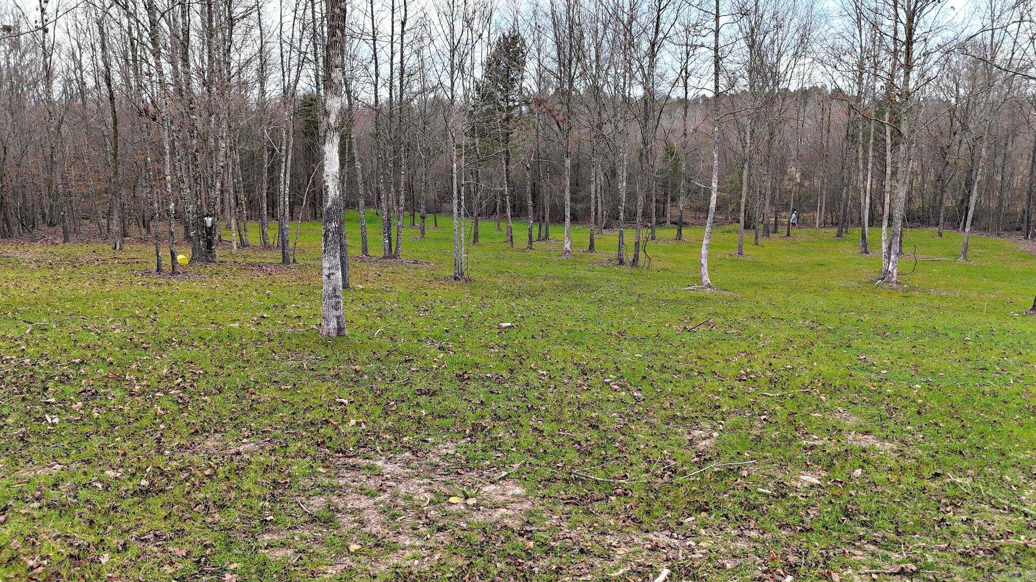 Alder Springs-Rocky - Land