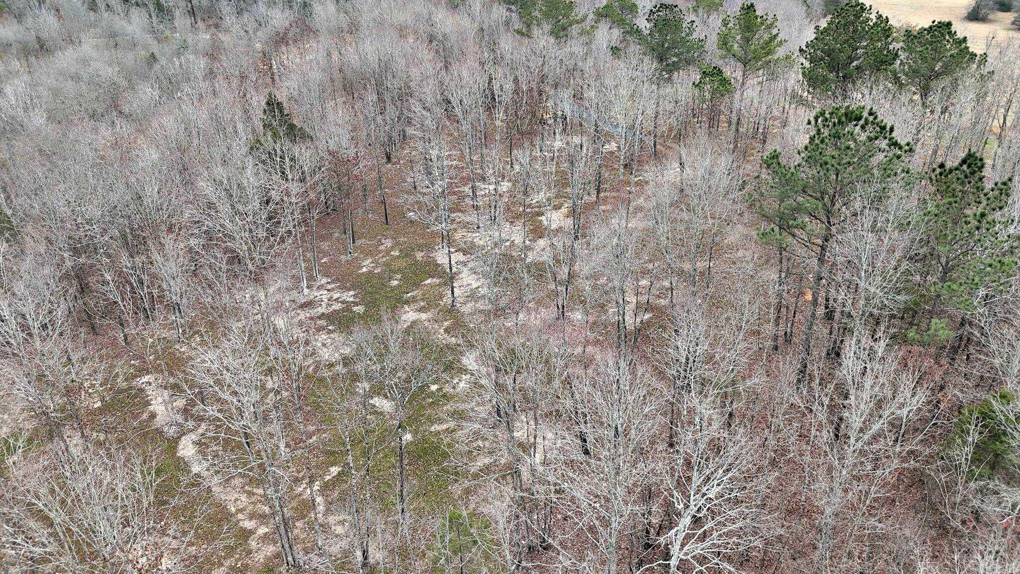 Alder Springs-Rocky - Land