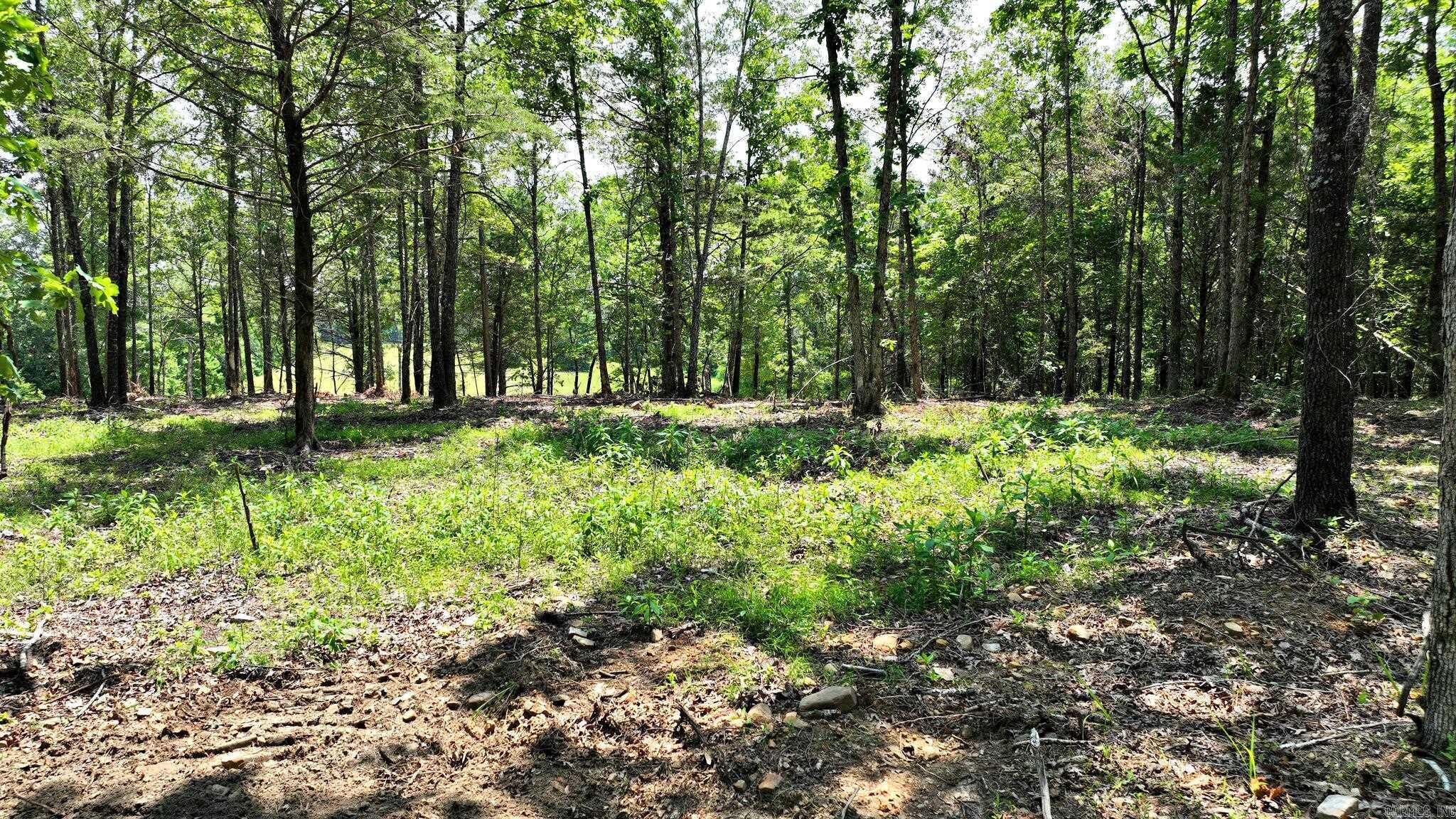 Alder Springs-Rocky - Land