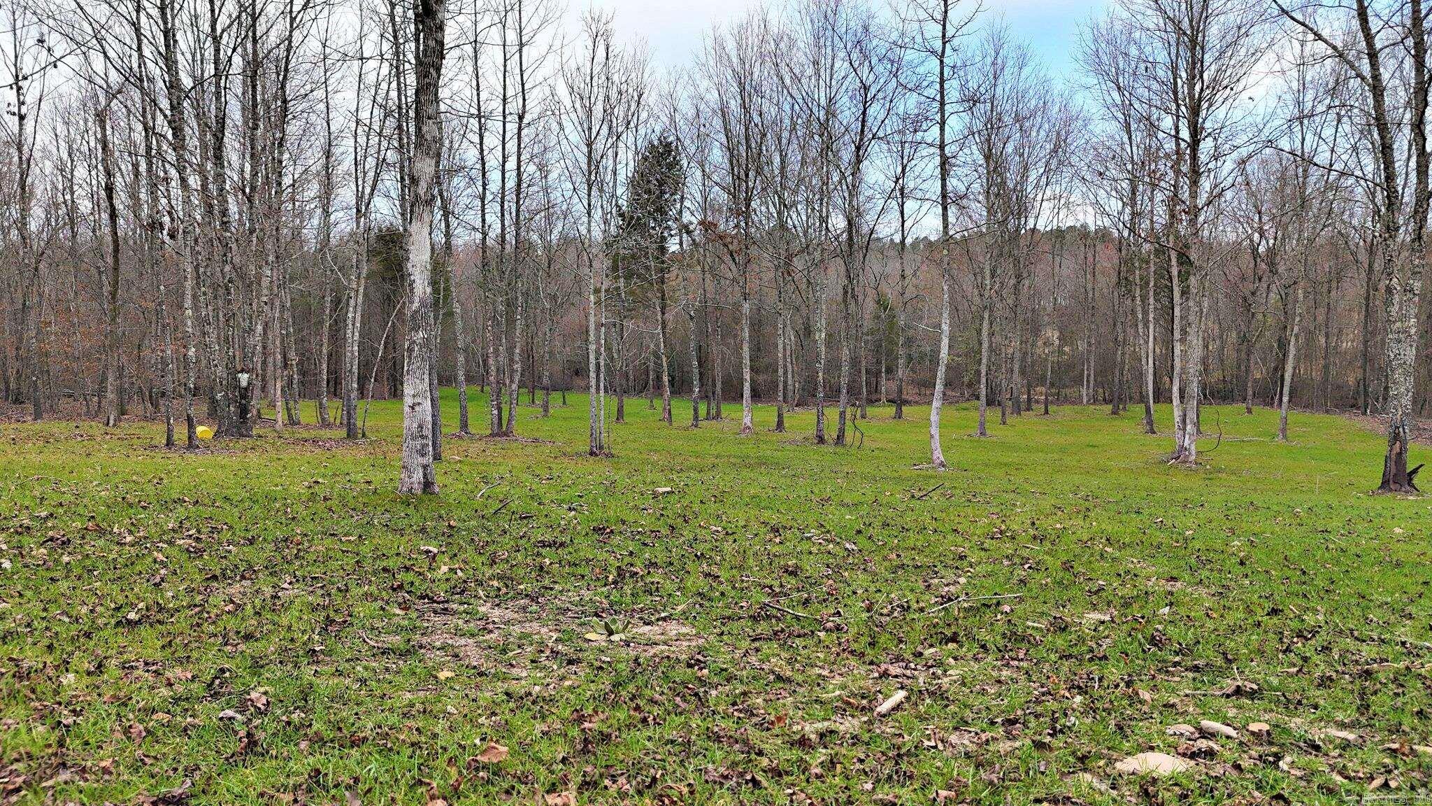 Alder Springs-Rocky - Land