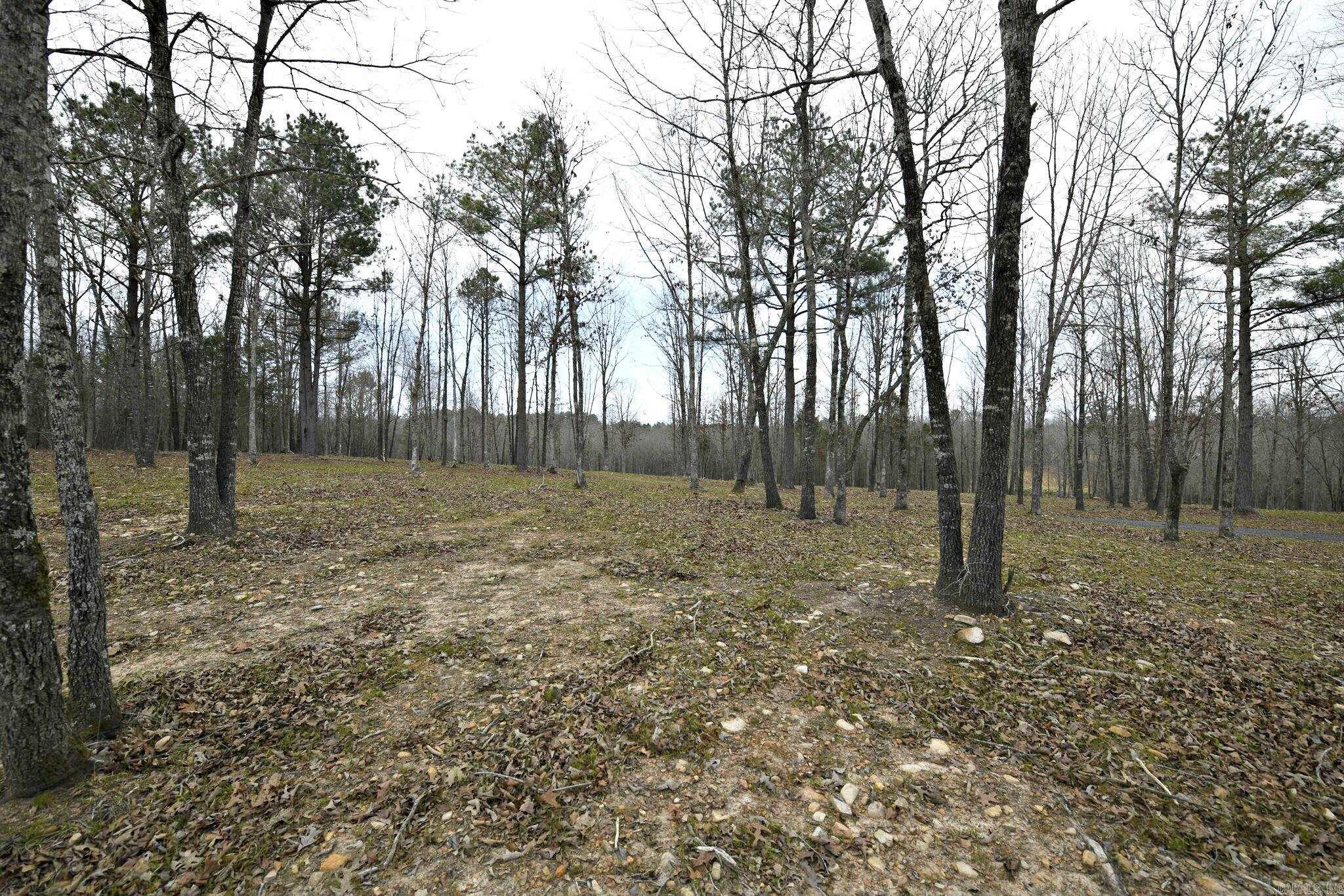 Alder Springs-Rocky - Land