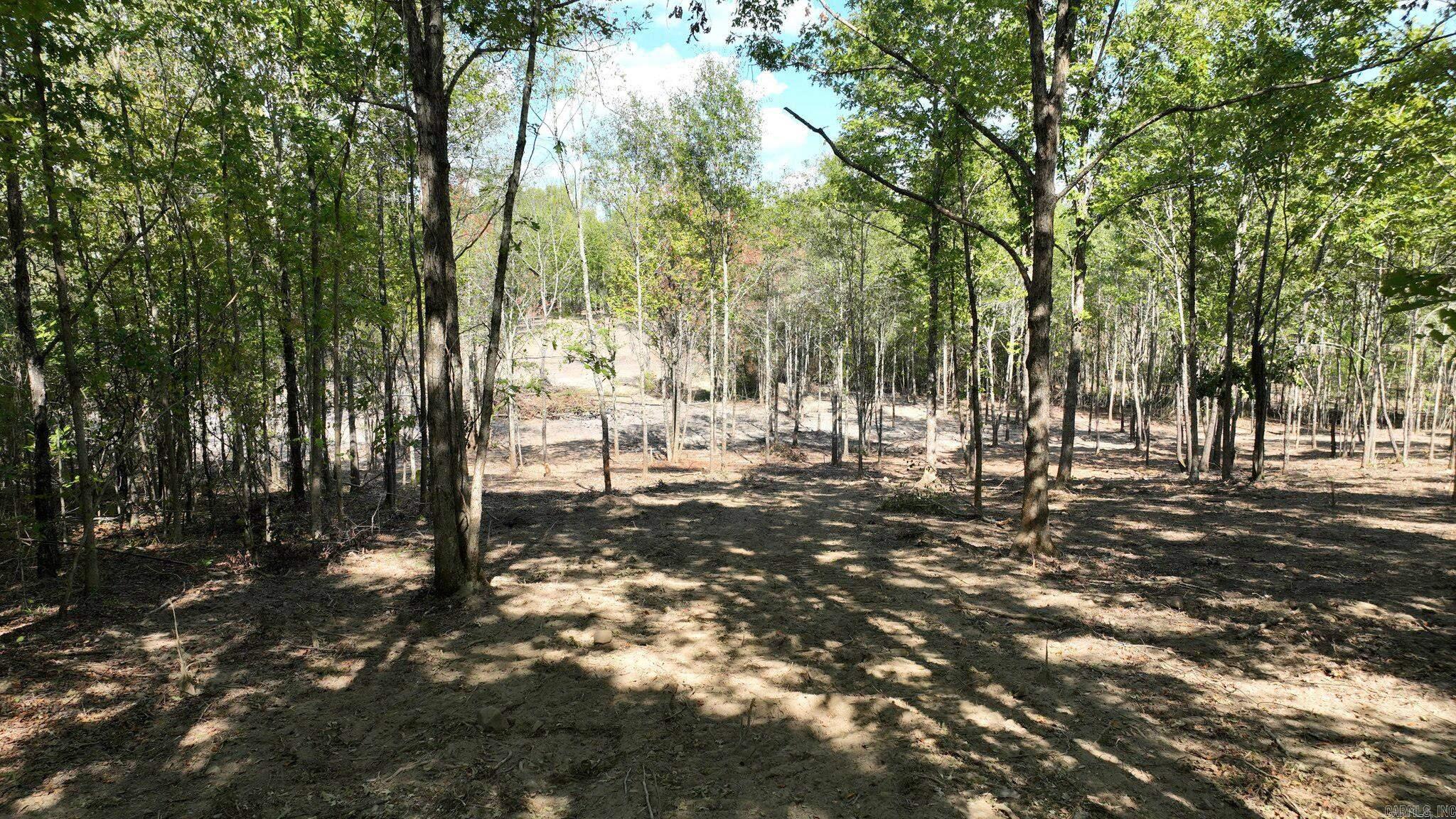 Alder Springs-Rocky - Land