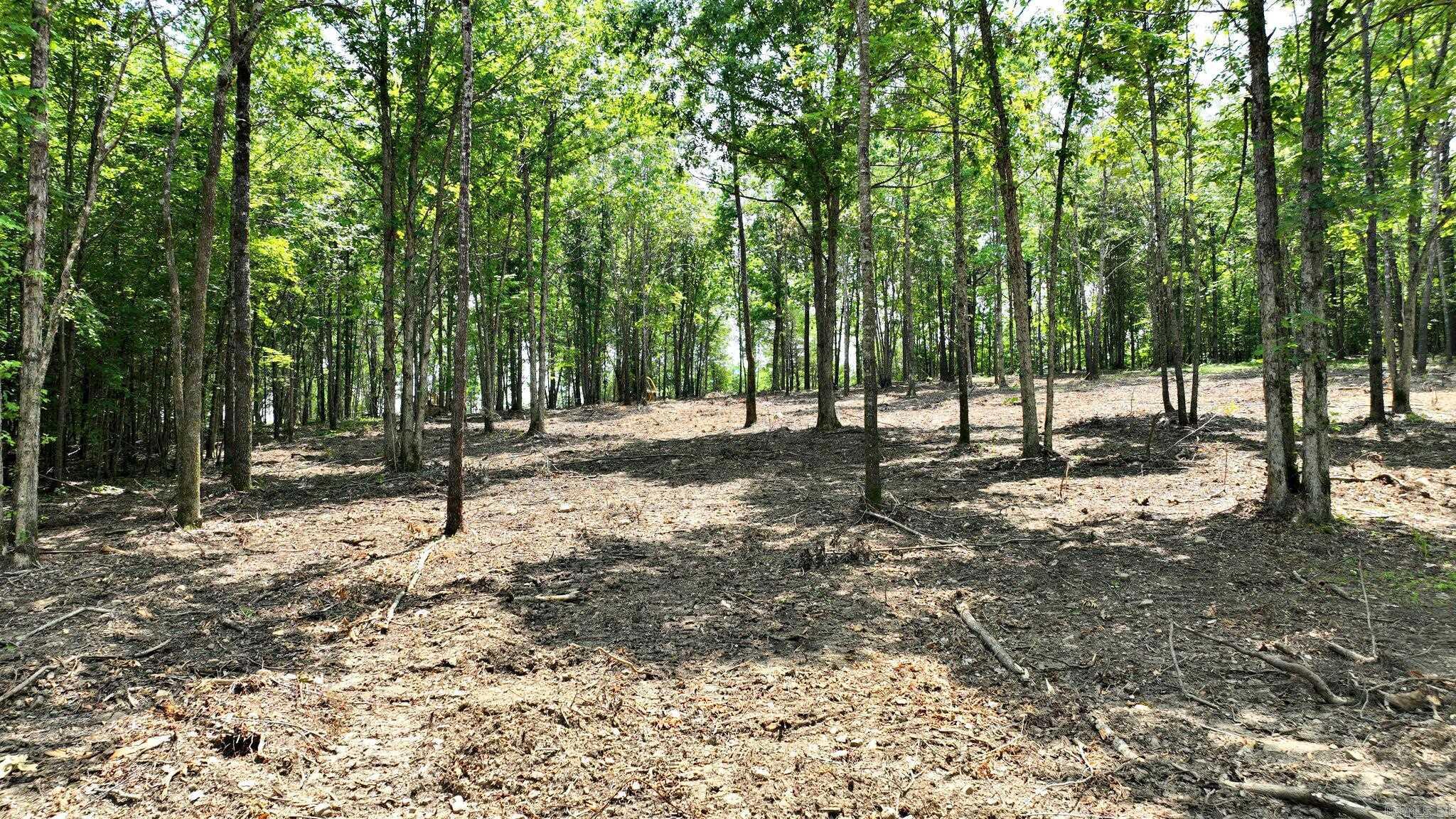 Alder Springs-Rocky - Land