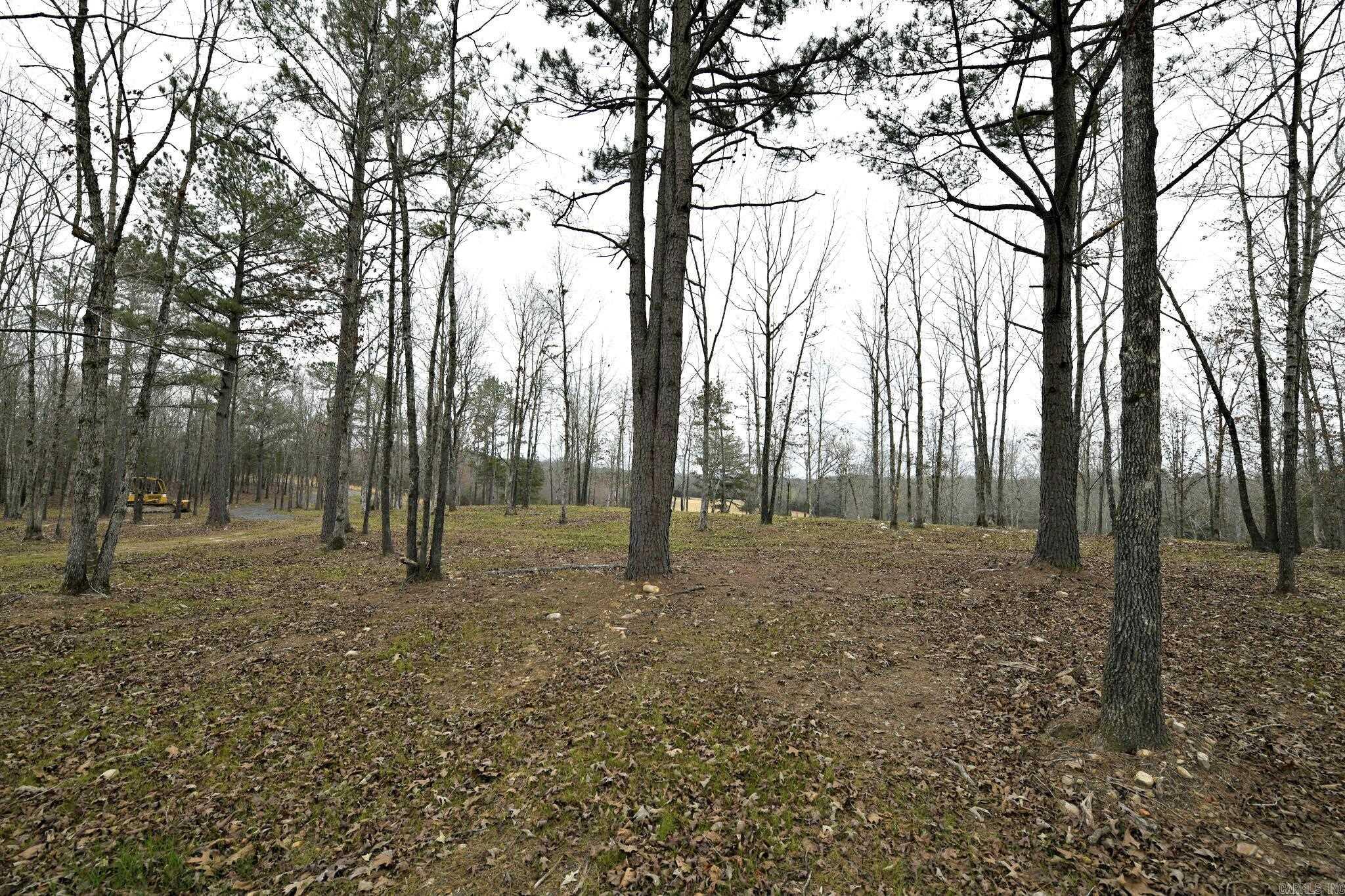 Alder Springs-Rocky - Land