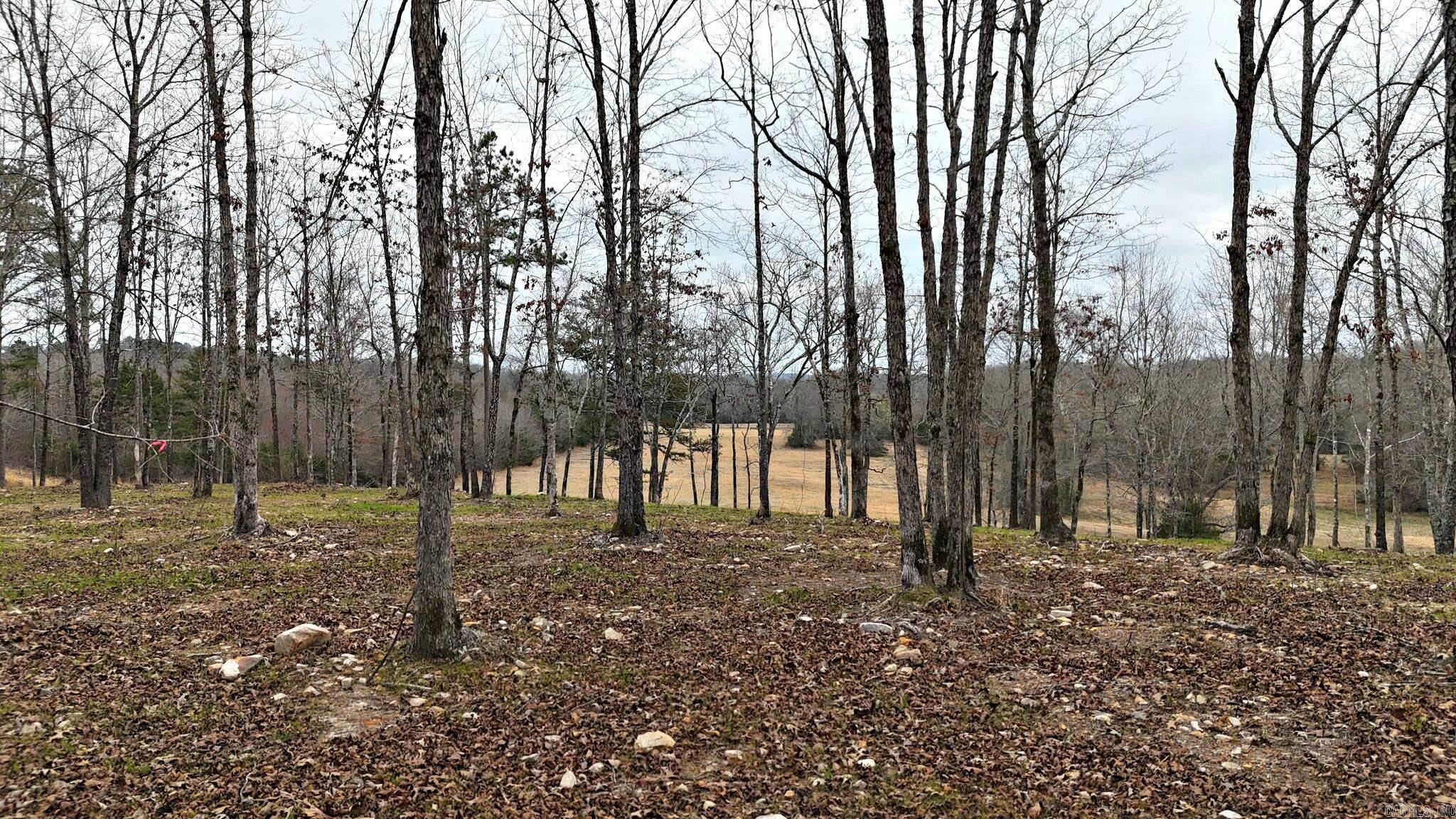 Alder Springs-Rocky - Land