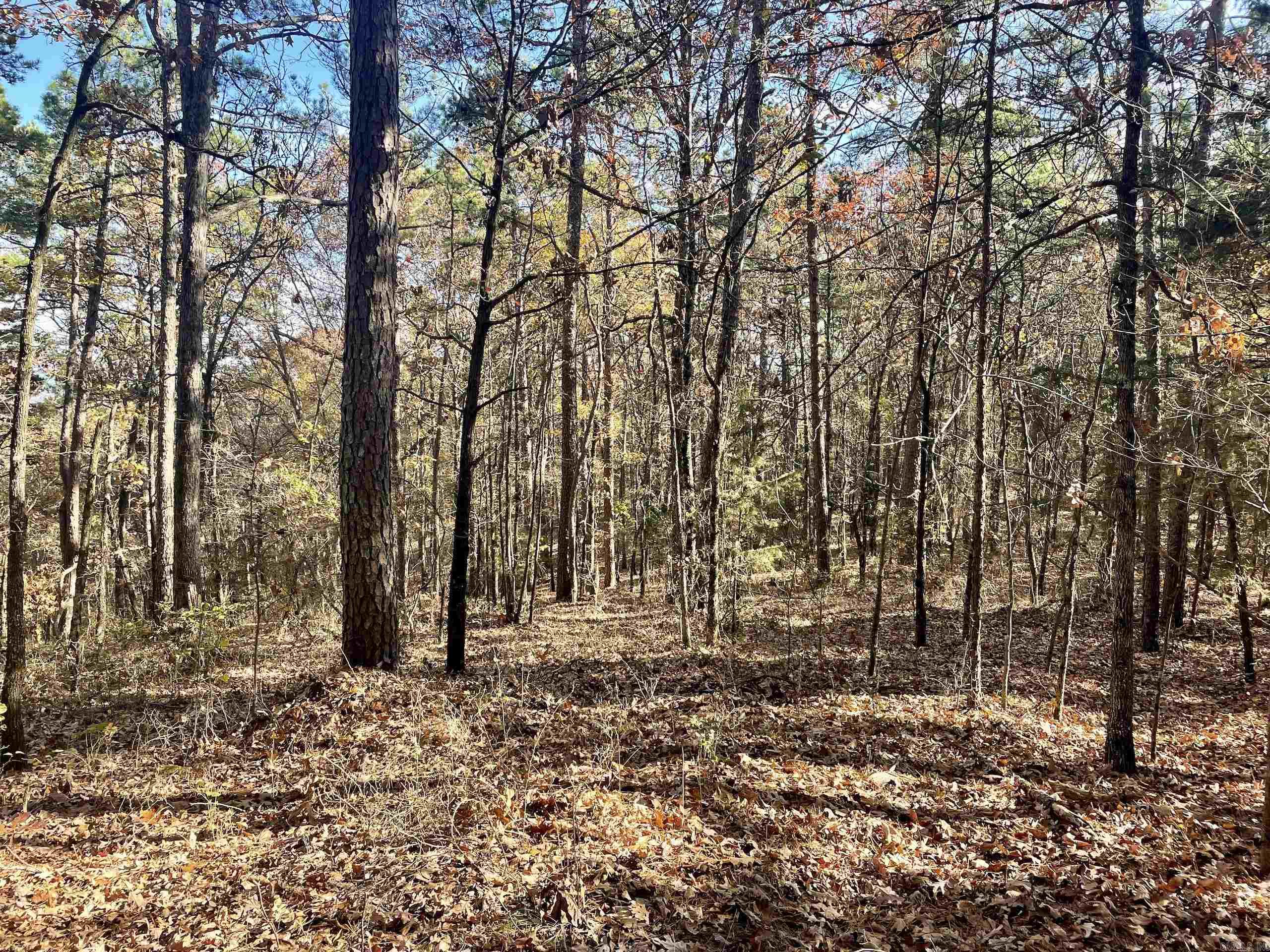 Not in Subdivision - Land