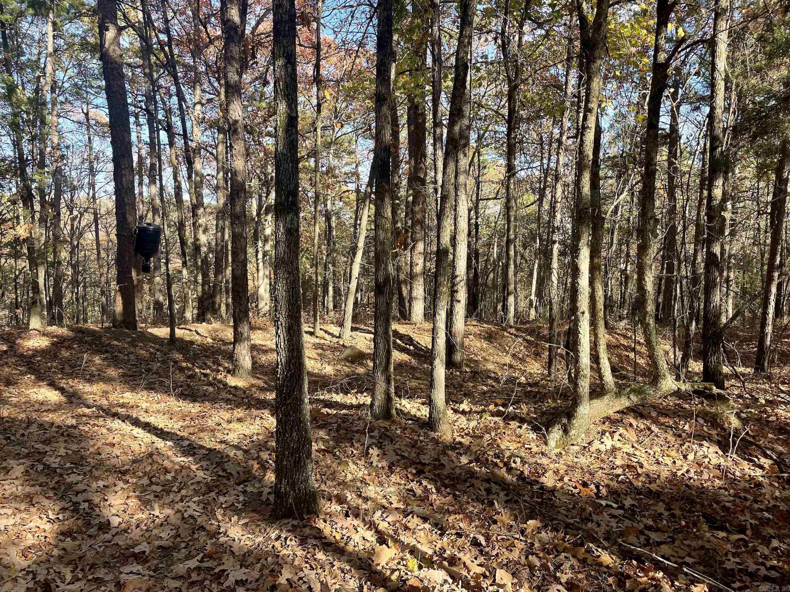 Not in Subdivision - Land