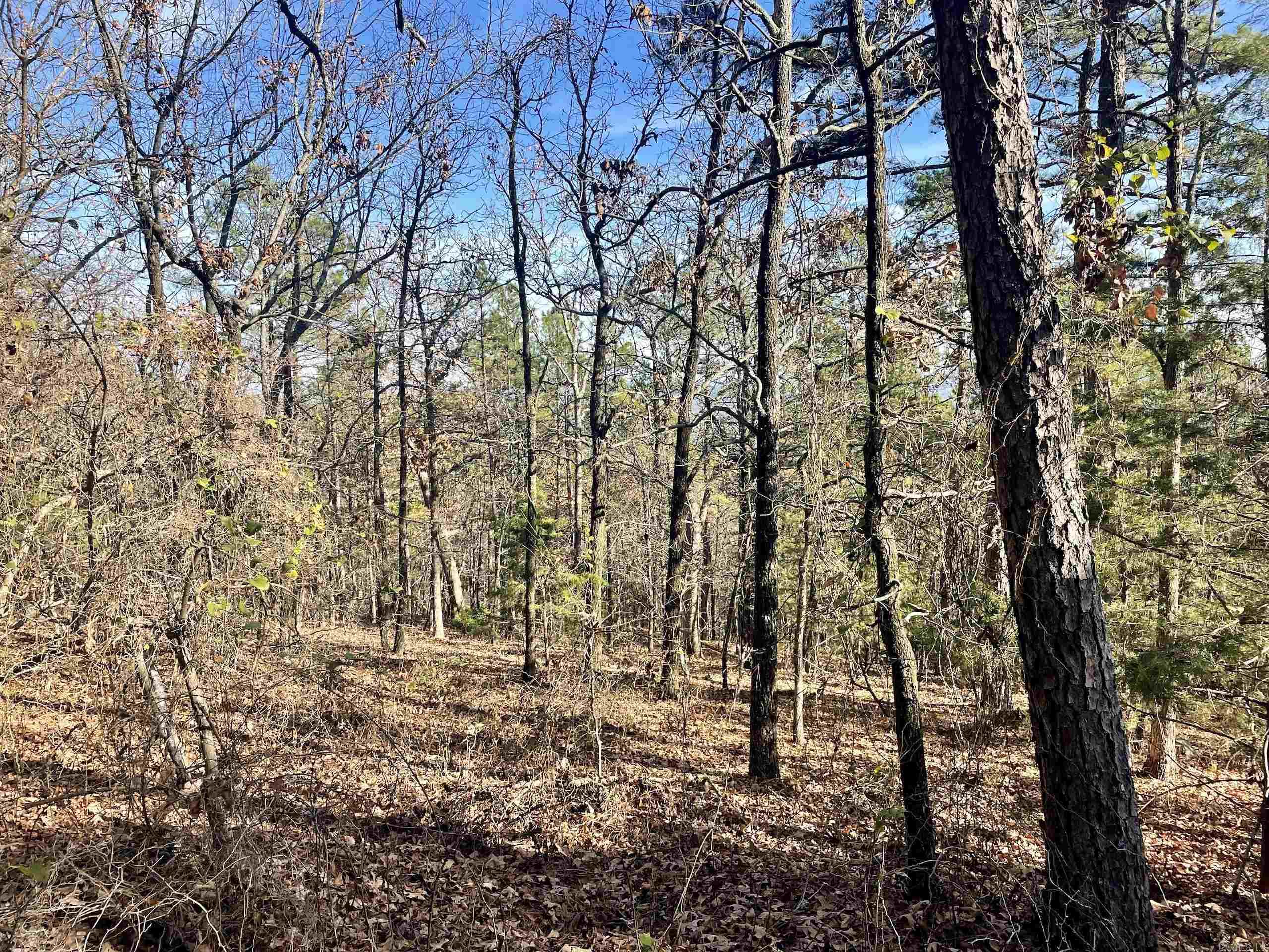 Not in Subdivision - Land