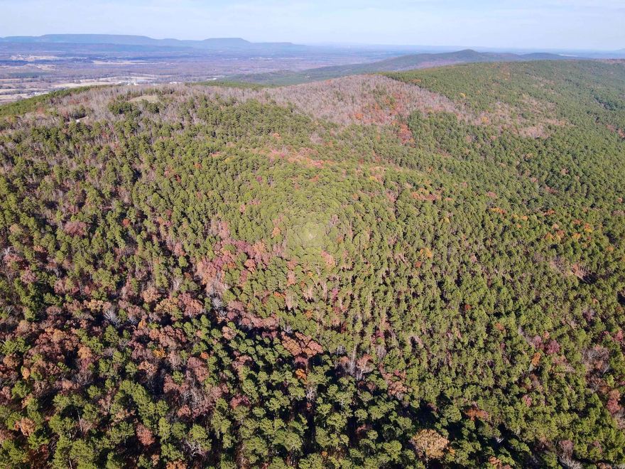 Bordered on two sides by thousands of acres the Quachita National Forest providing endless hunting and recreation opportunities for your family and friends. Located just minutes from Danville on a Forest Service road this property is easily accessed but feels very secluded. There is an ATV trail that winds its way through some very nice hunting stand locations. The forest is composed of mature Pine and Hardwood timber and is an excellent habitat that attracts and holds abundant wildlife including deer, turkey and bear. Just a few miles from Petit Jean WMA and Nimrod Lake you will be able to enjoy all the recreational opportunities central Arkansas is known for, hunting, fishing, camping and more. Electricity is nearby. Minerals do not convey.